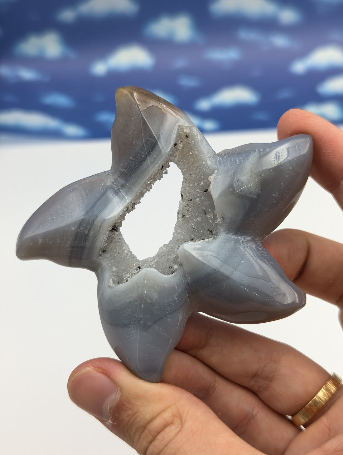 Achat Seestern mit Kristall Druse