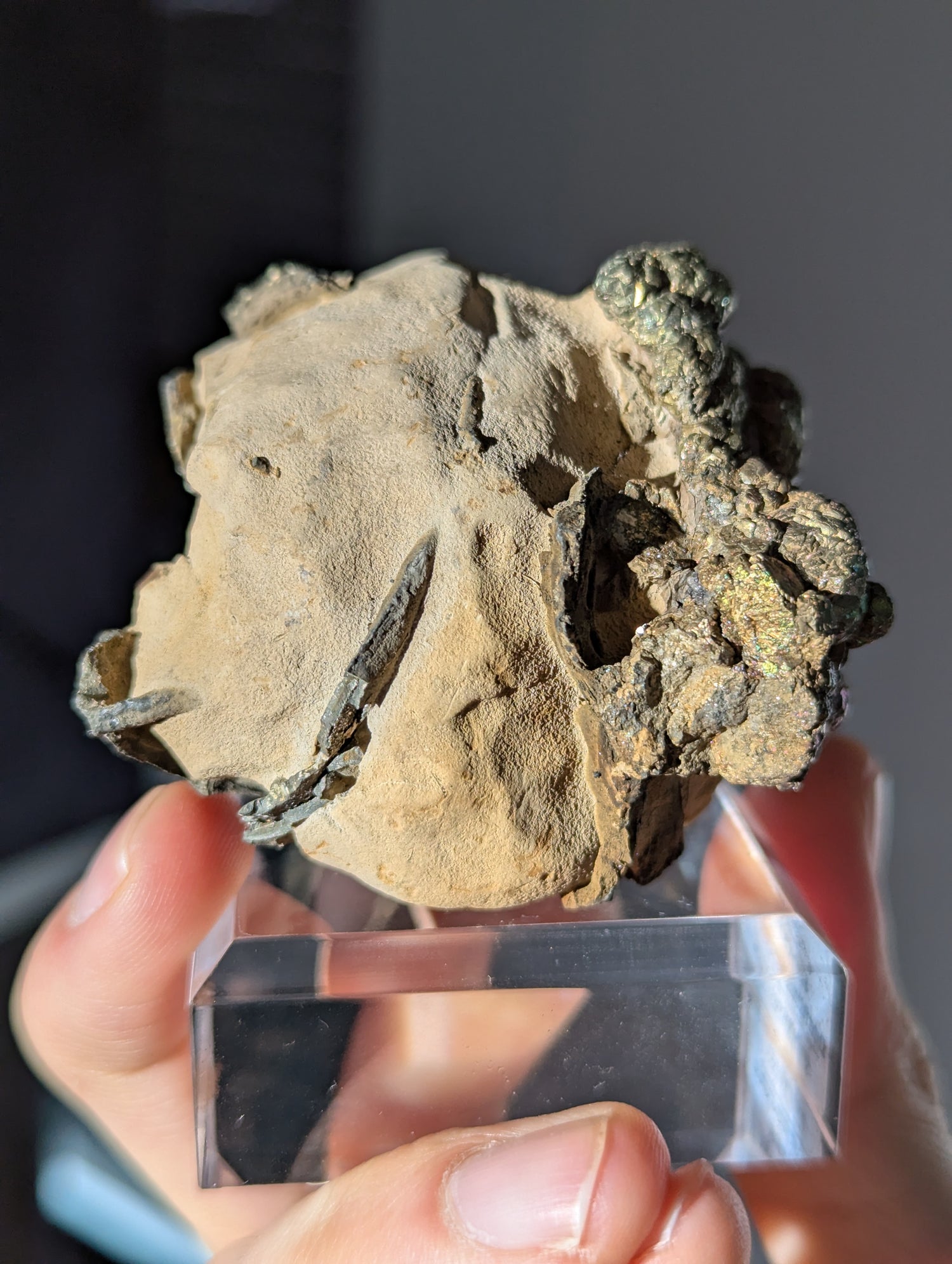 Irisierender Pyrit auf Limonit Knolle