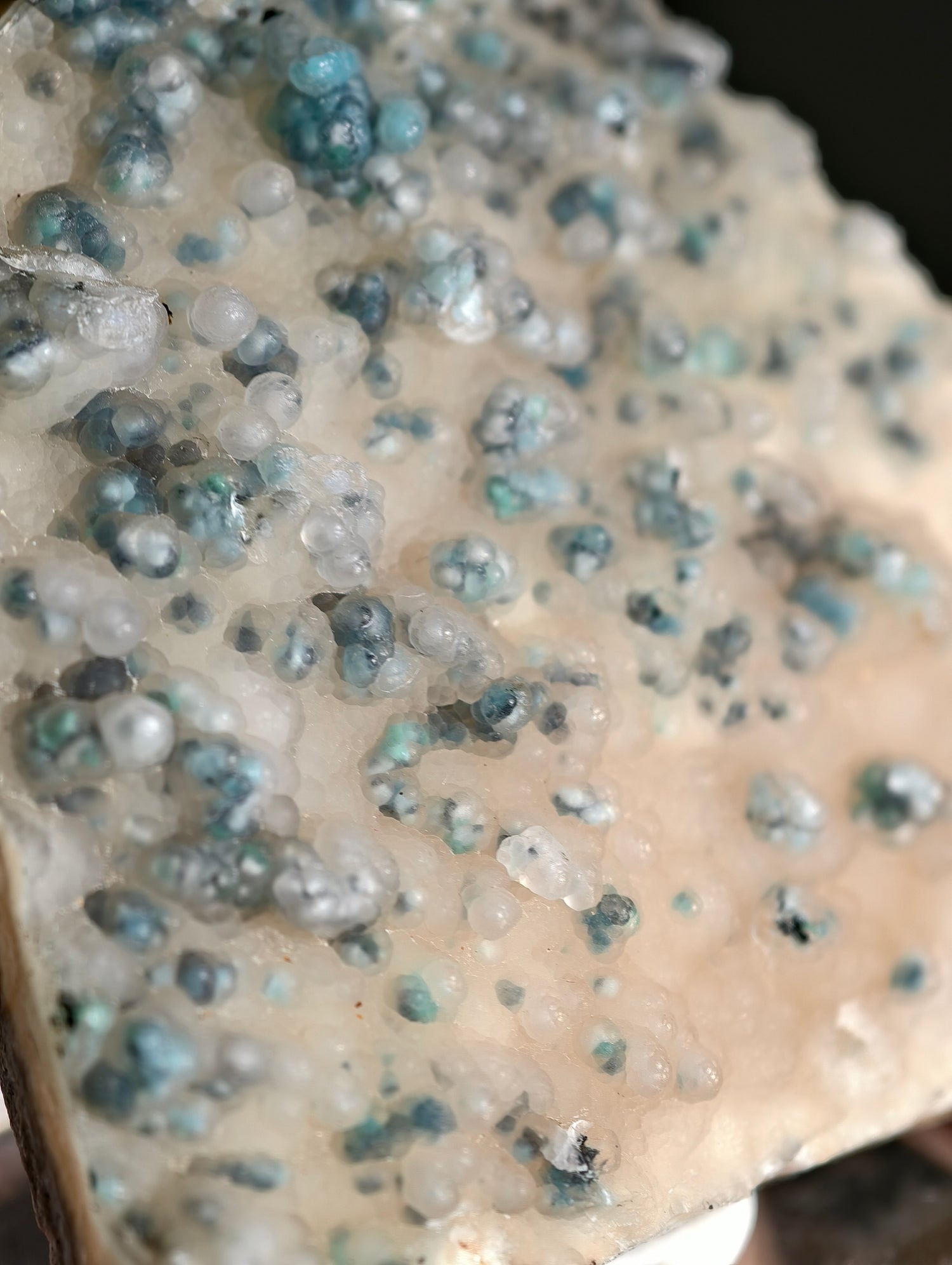 Neufund! Chrysokoll in Chalcedon aus Indonesien