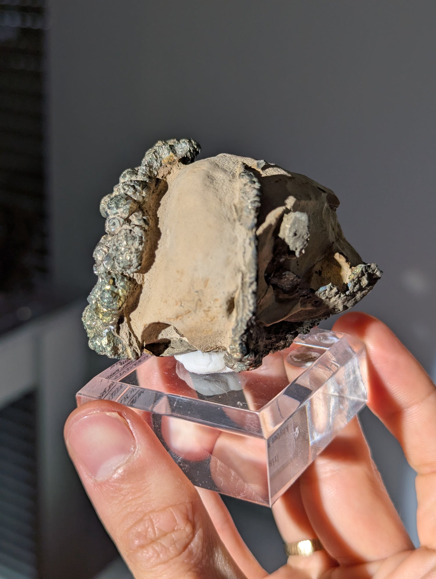 Irisierender Pyrit auf Limonit Knolle