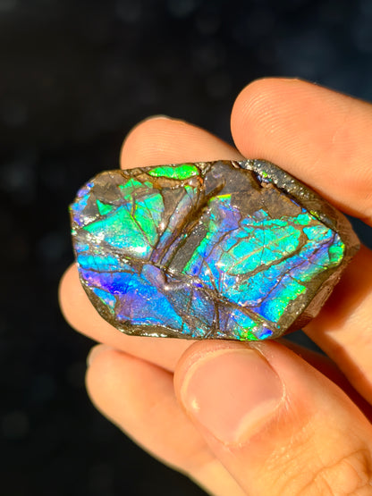 Ammolit Stück aus Kanada