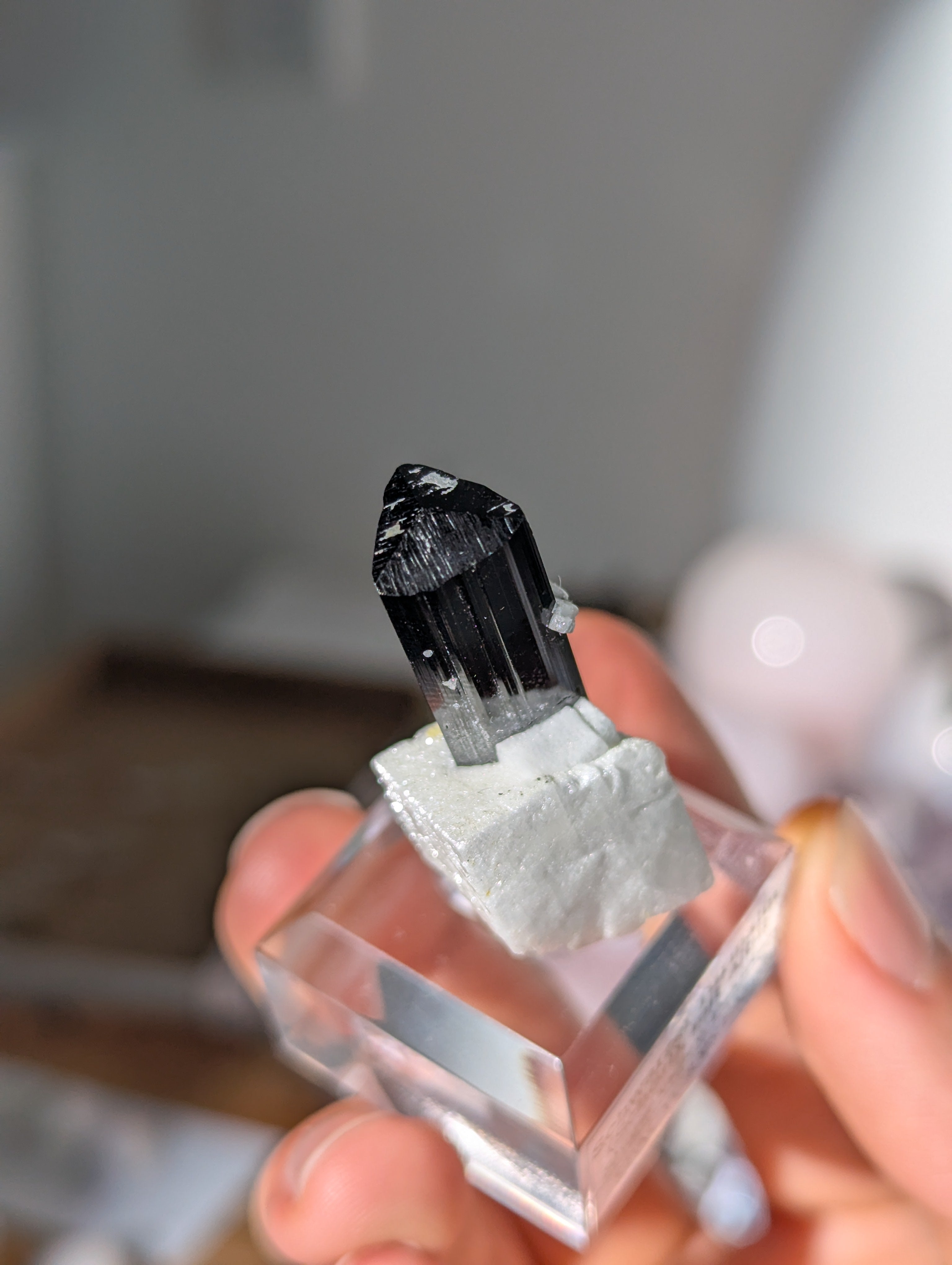 Schwarzer Turmalin (Schörl) mit Albit auf Podest