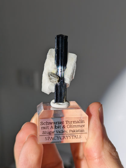 Schwarzer Turmalin (Schörl) mit Albit &amp; Glimmer auf Podest