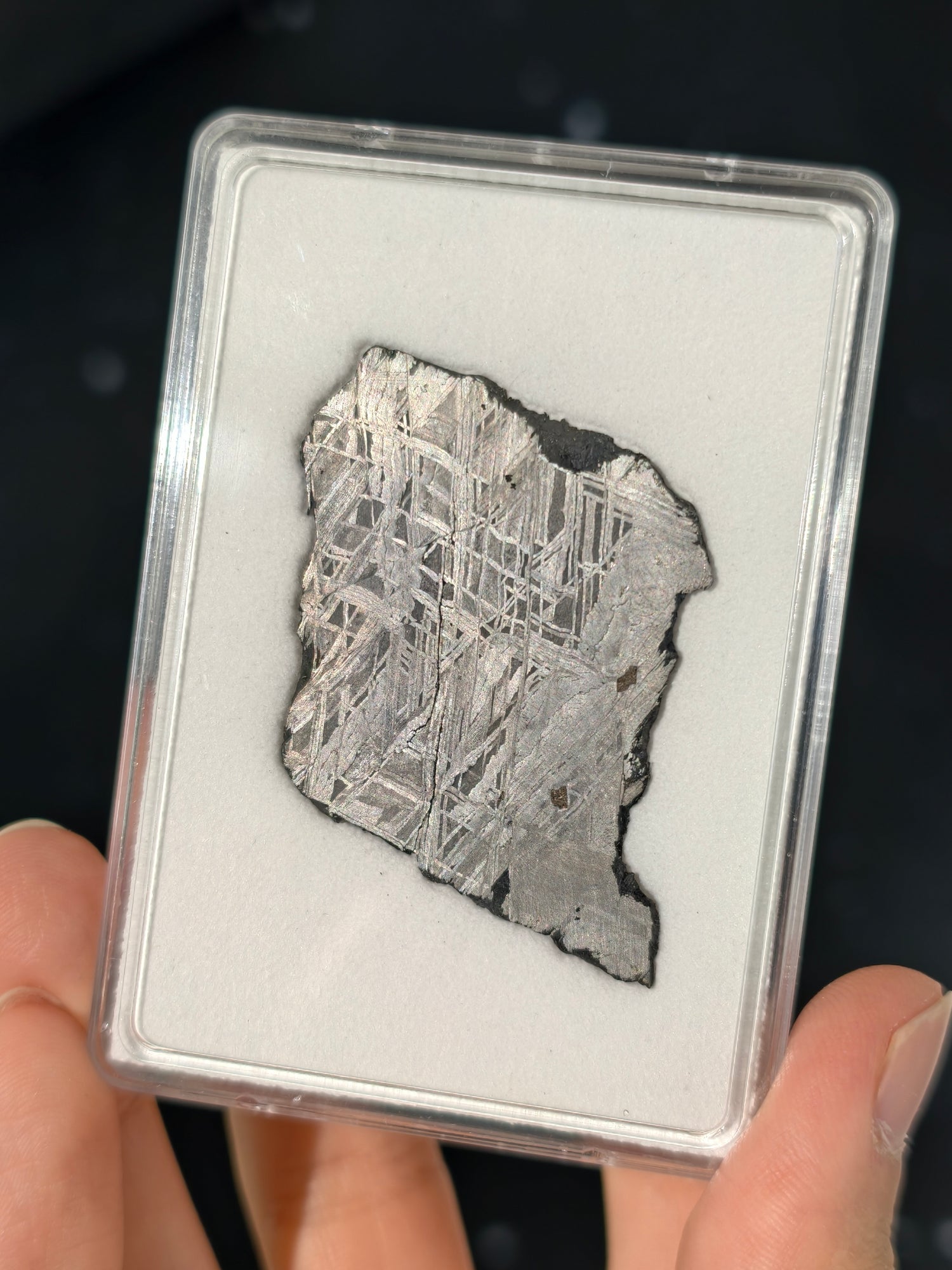 Muonionalusta Meteorit Scheibe 14,7g mit Zertifikat