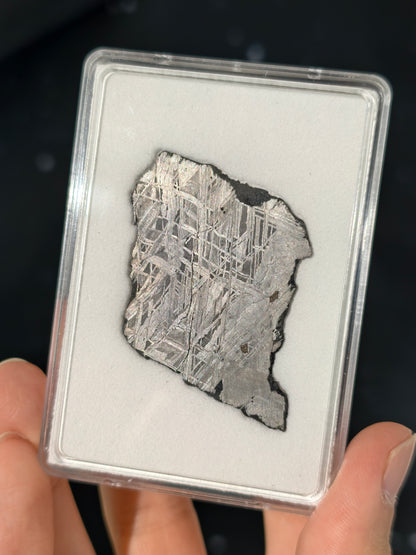 Muonionalusta Meteorit Scheibe 14,7g mit Zertifikat