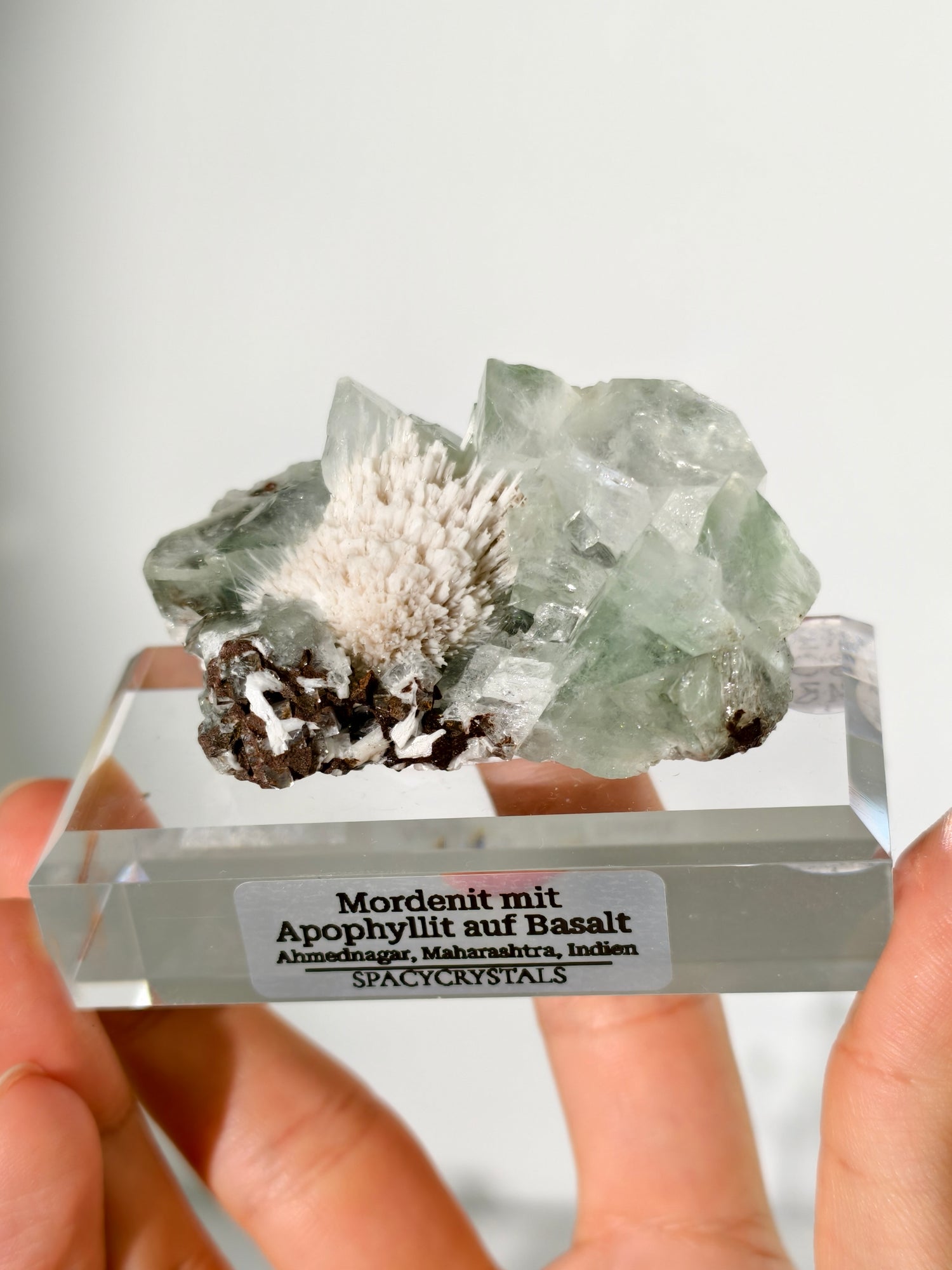 Mordenit mit Apophyllit auf Basalt aus Indien