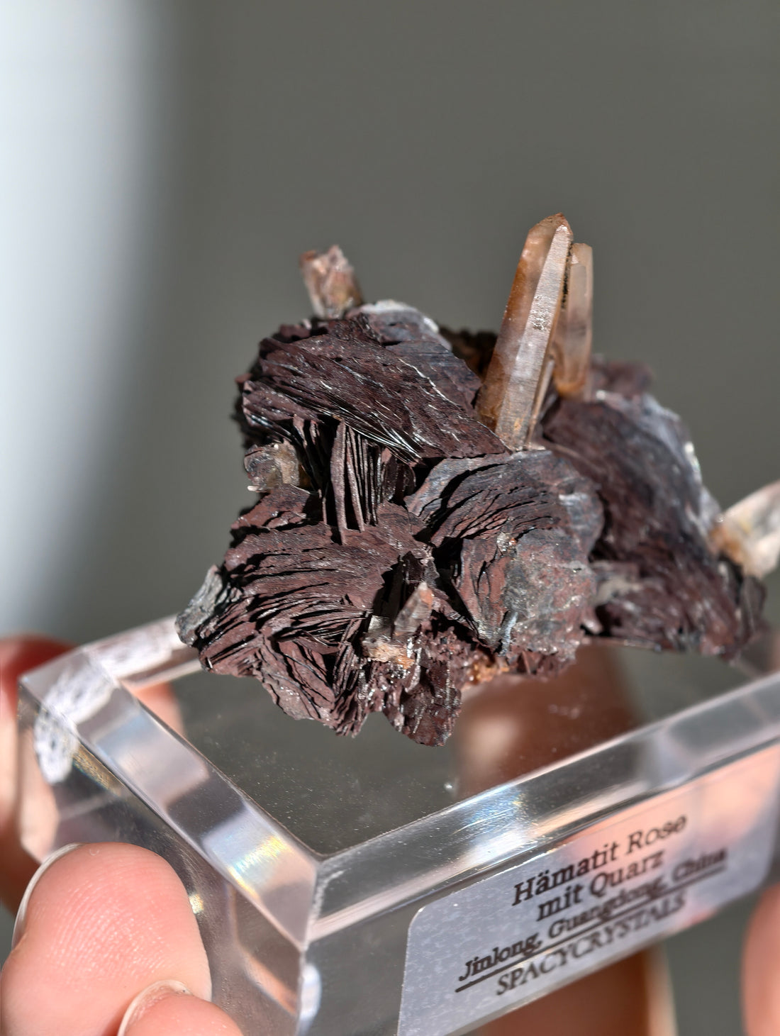 Rote Hämatit Rose mit Hämatitquarz aus Jinlong