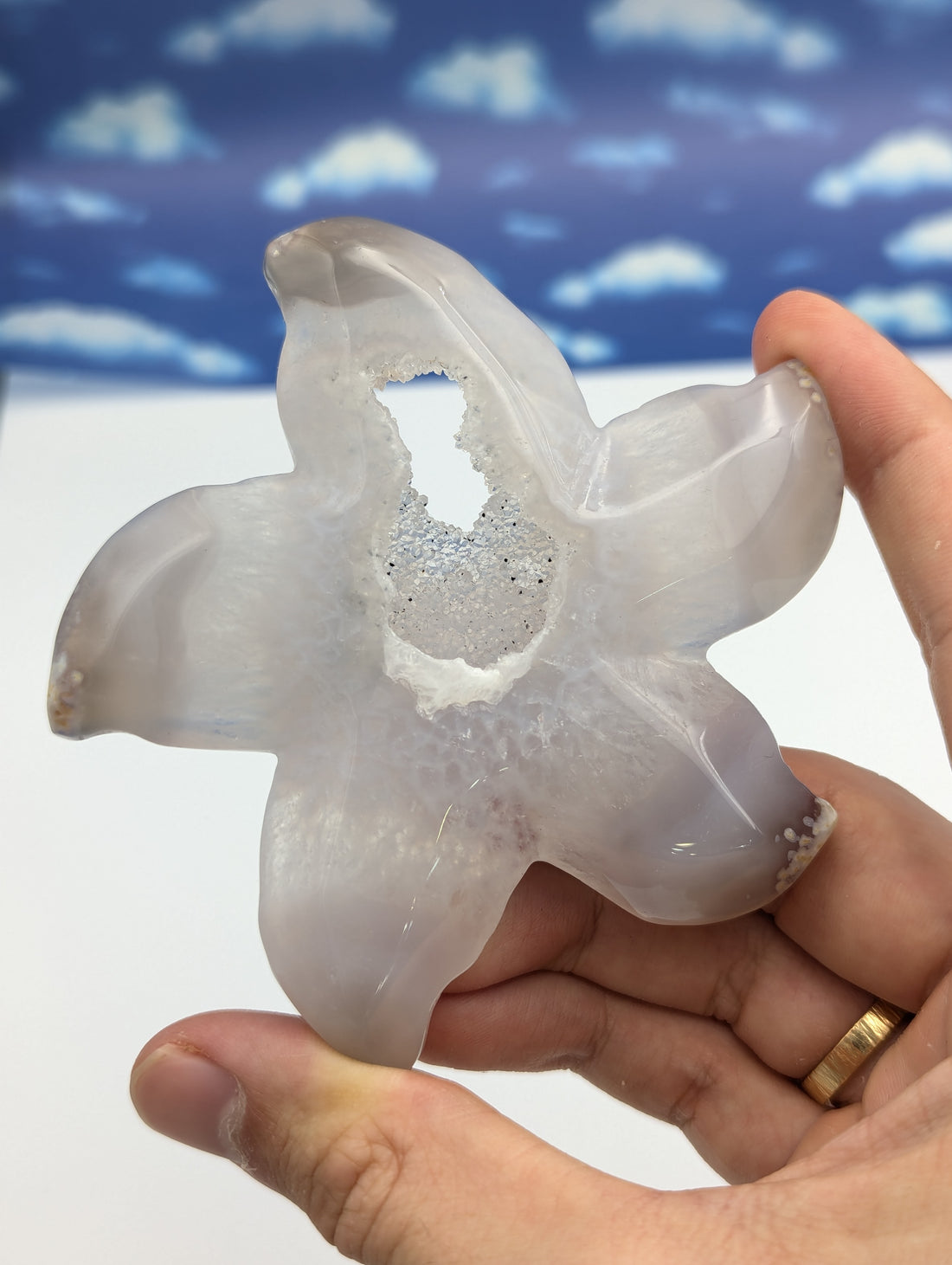 Achat Seestern mit Kristall Druse