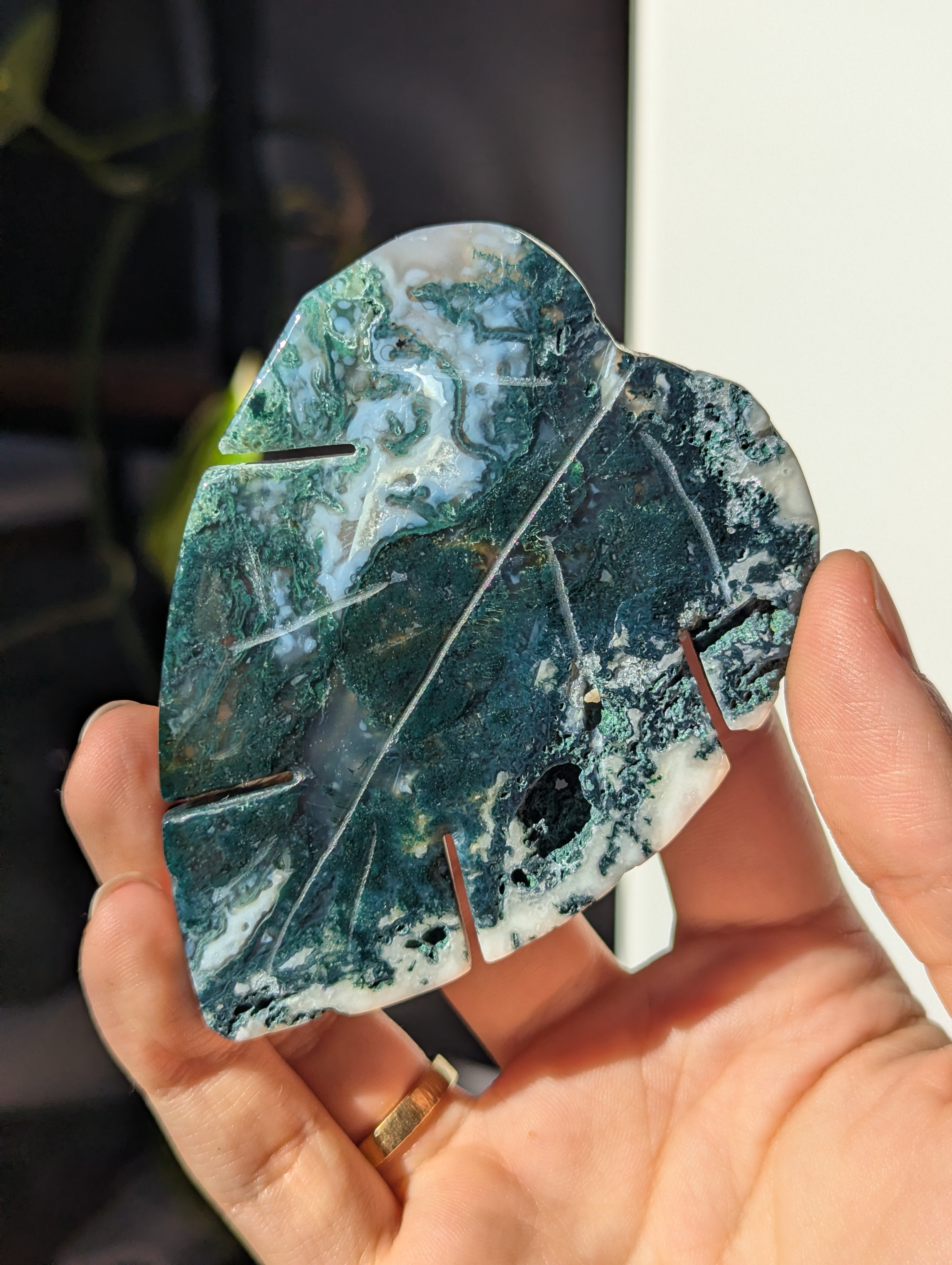 Moosachat Monstera Blatt (wähle dein eigenes)