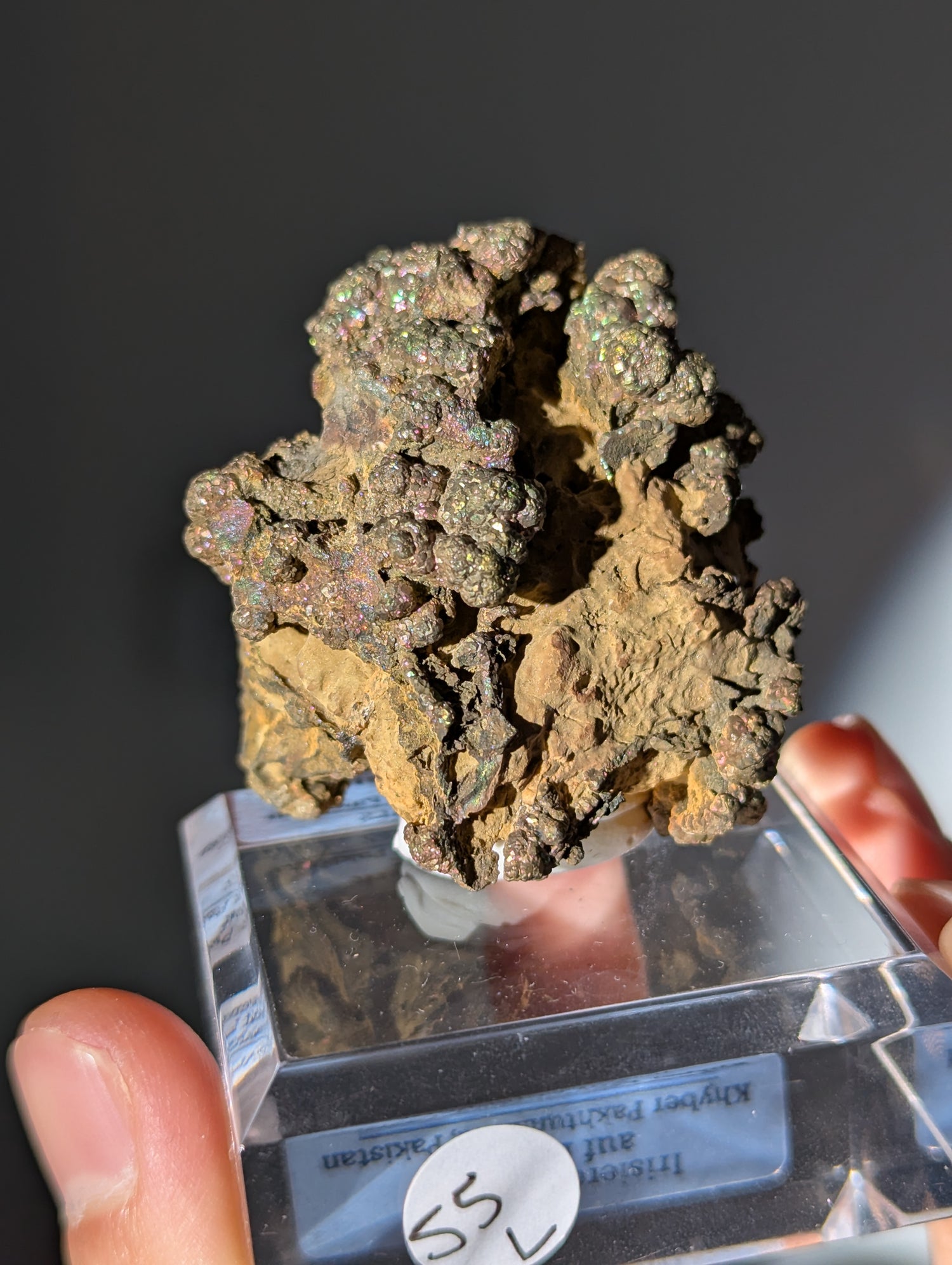 Irisierender Pyrit &quot;Bonsai&quot; auf Limonit