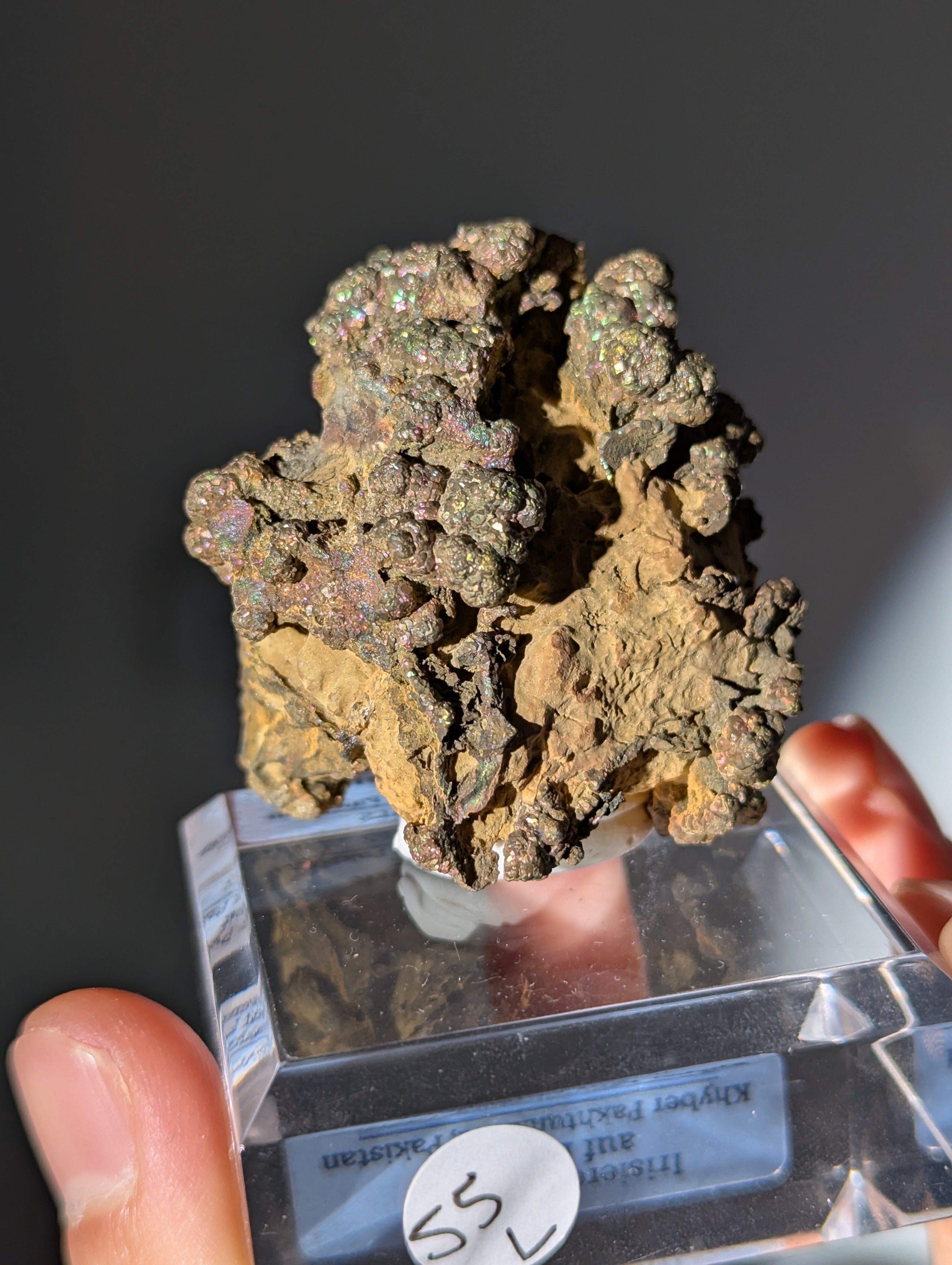 Irisierender Pyrit &quot;Bonsai&quot; auf Limonit