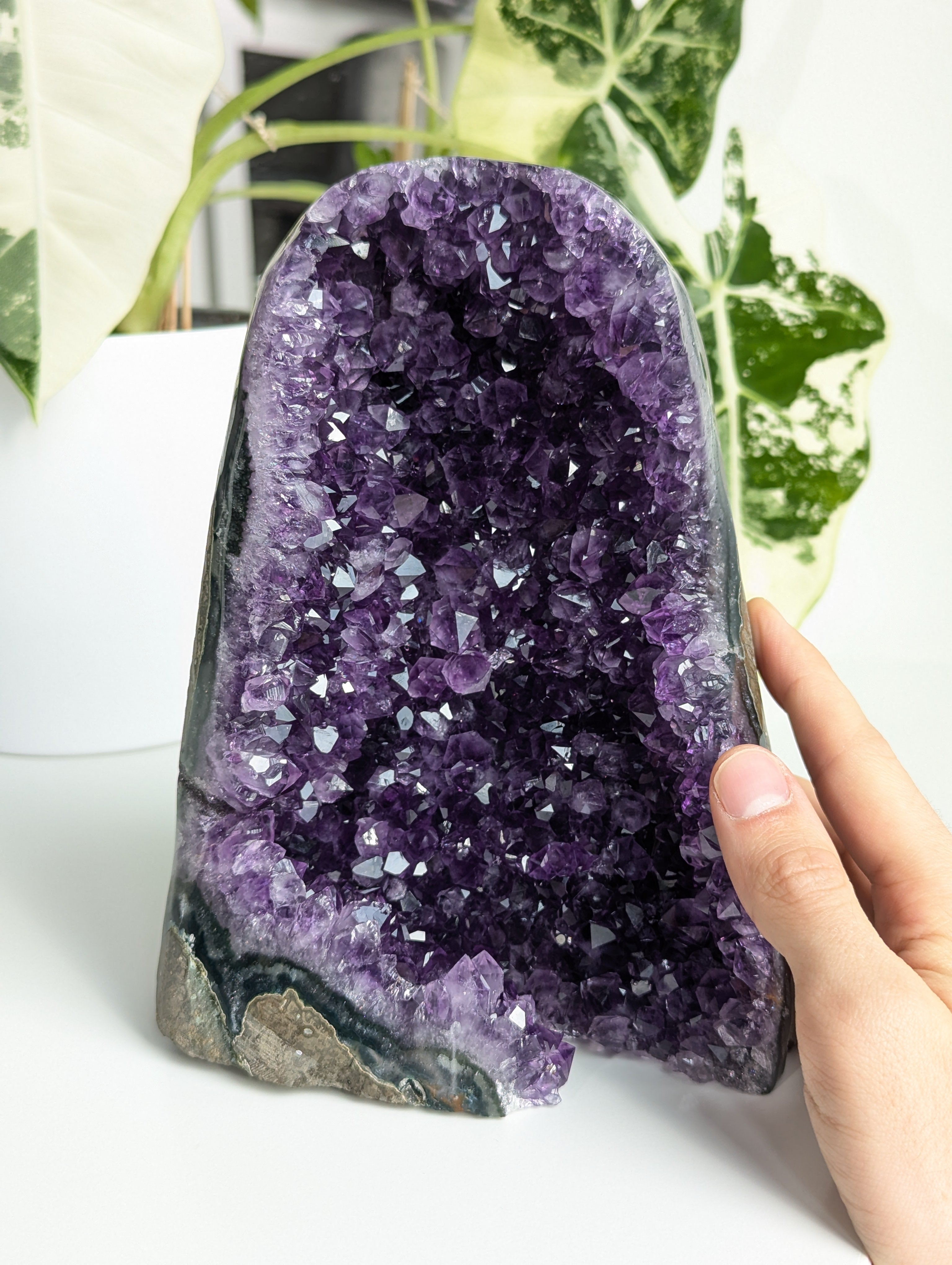 Amethyst Druse AA-Qualität aus Uruguay