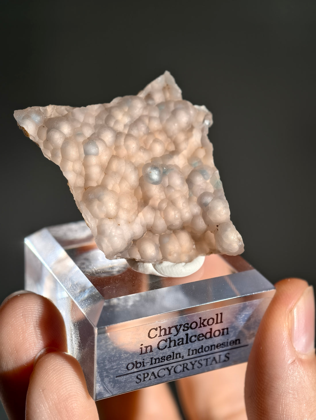 Neufund! Chrysokoll in Chalcedon aus Indonesien