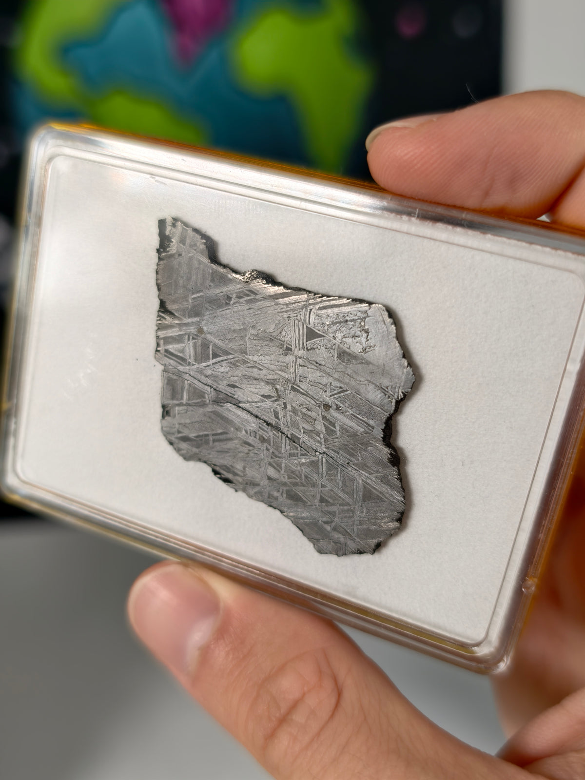 Muonionalusta Meteorit Scheibe 13,33g mit Zertifikat
