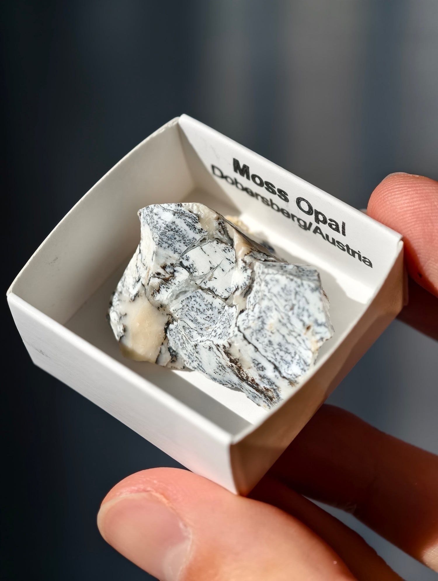 kleiner Moosopal aus Österreich 🇦🇹