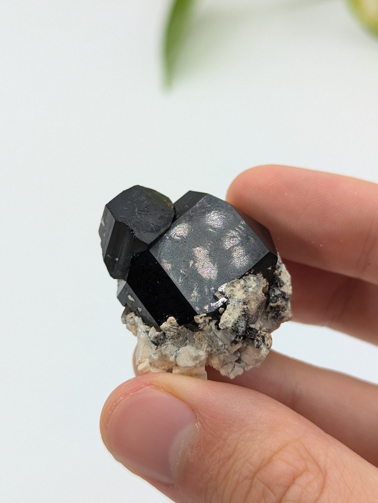 Schwarzer Turmalin (Schörl) aus Erongo III