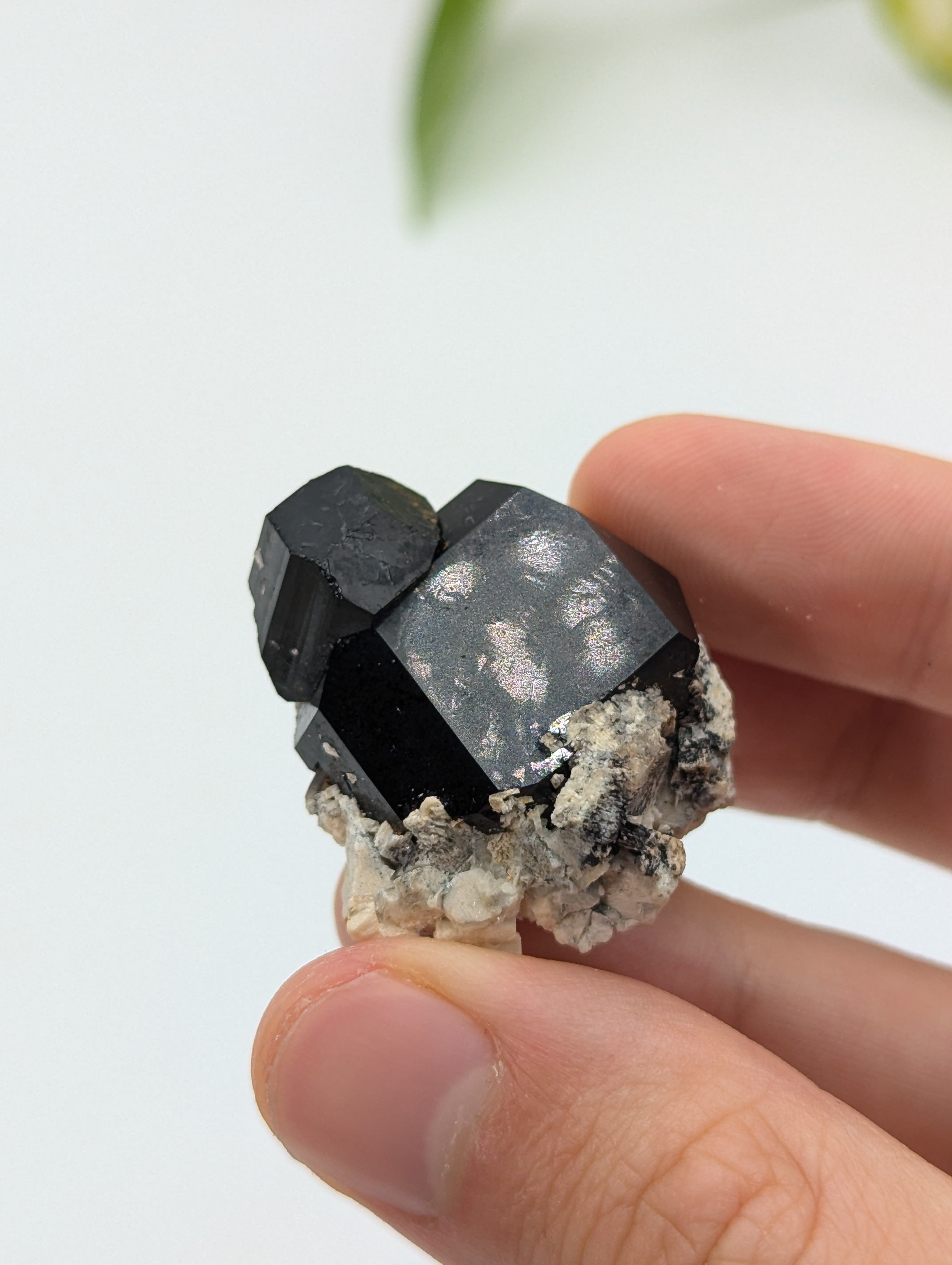 Schwarzer Turmalin (Schörl) aus Erongo III