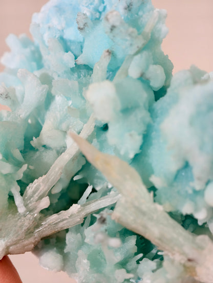 Wow! Blauer Aragonit 🪸🩵 aus der Wenshan Mine