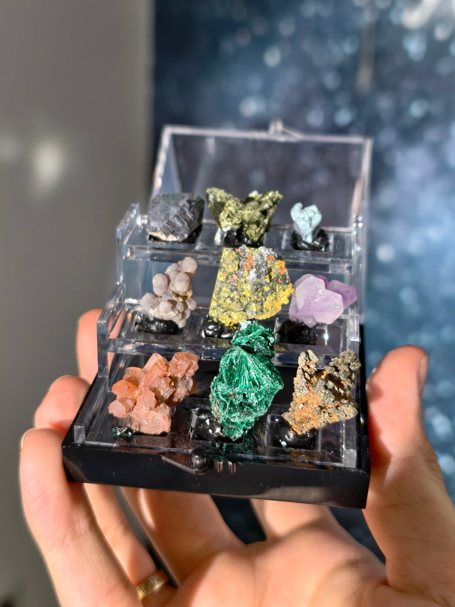 Specimen Box Set (Miniatursammlung)