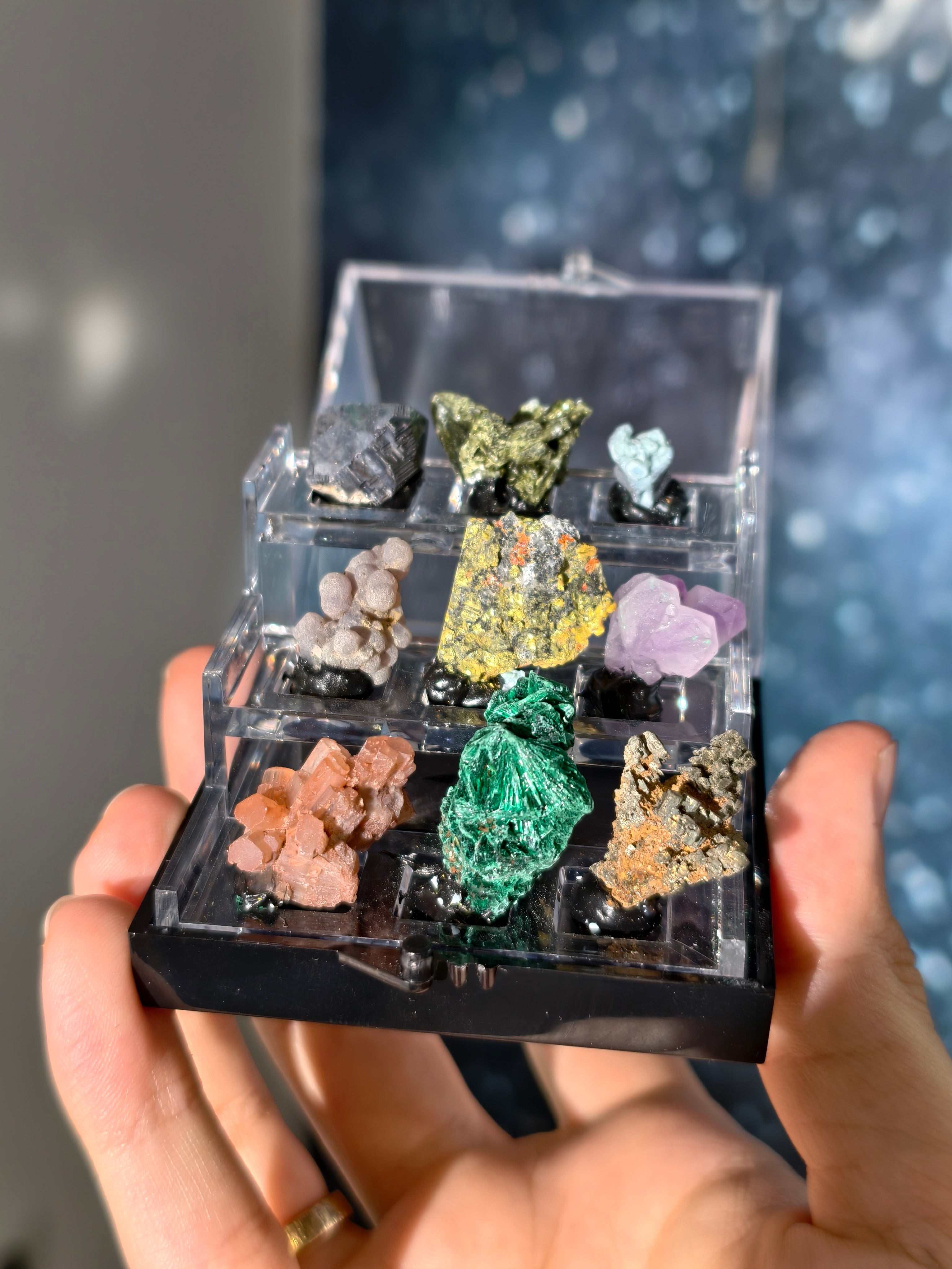 Specimen Box Set (Miniatursammlung)
