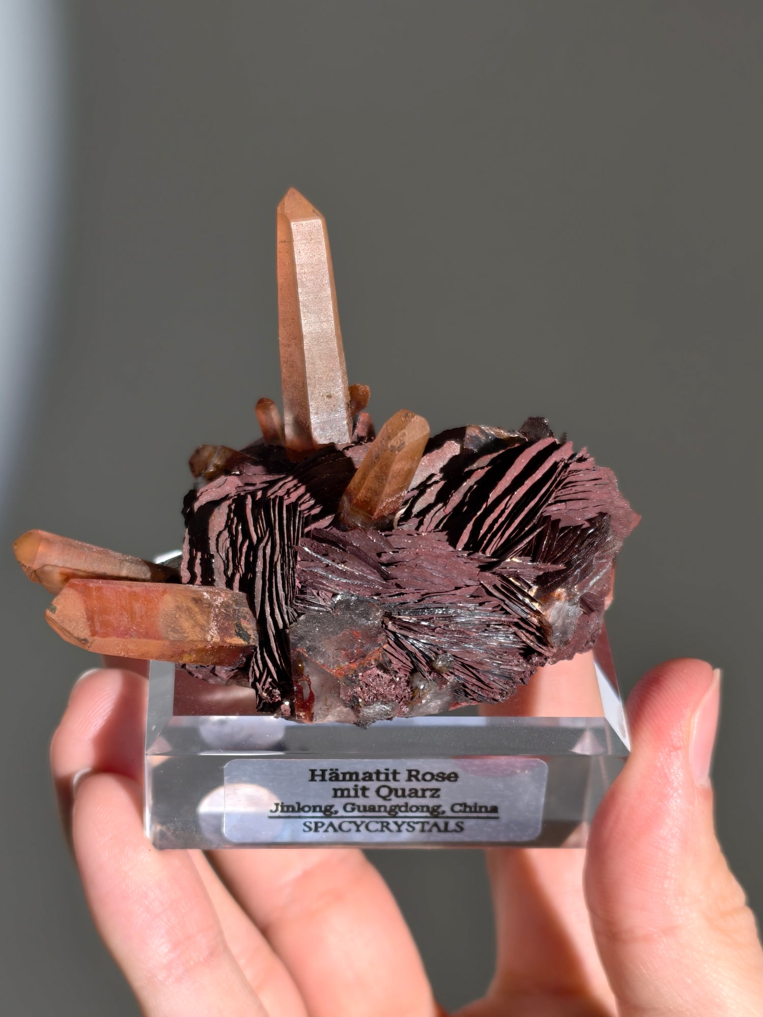 Rote Hämatit Rose mit Hämatitquarz aus Jinlong