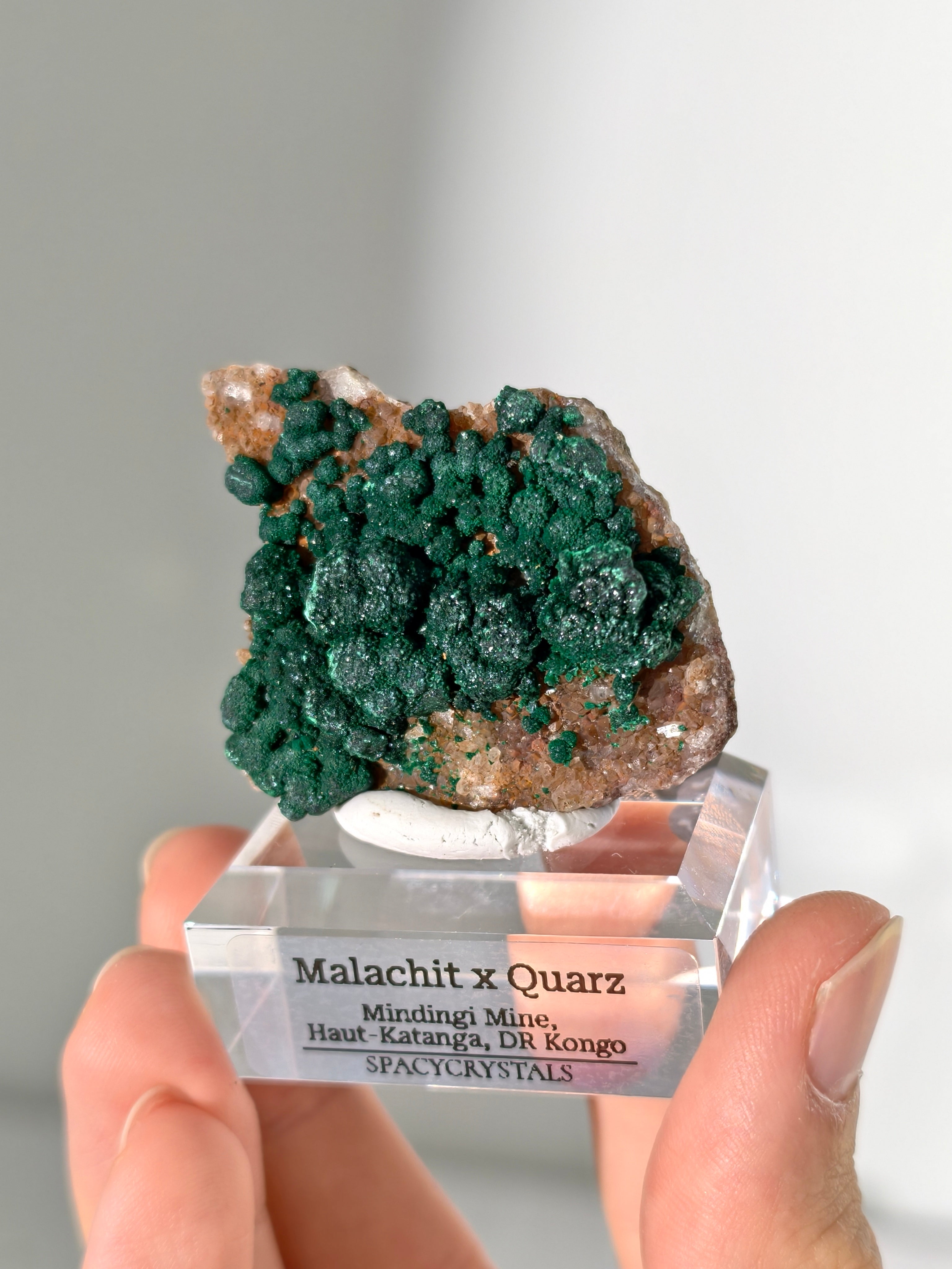 Malachit x Quarz aus der Mindingi Mine, Kongo