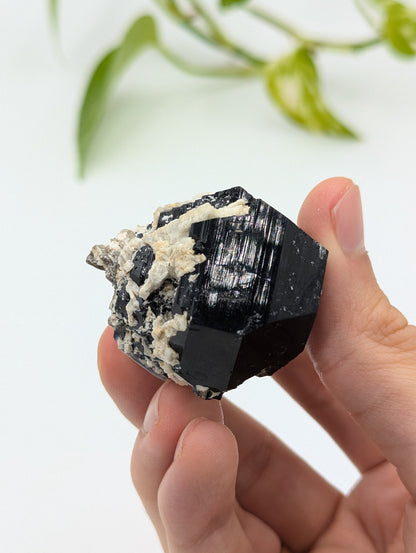 Schwarzer Turmalin (Schörl) aus Erongo II