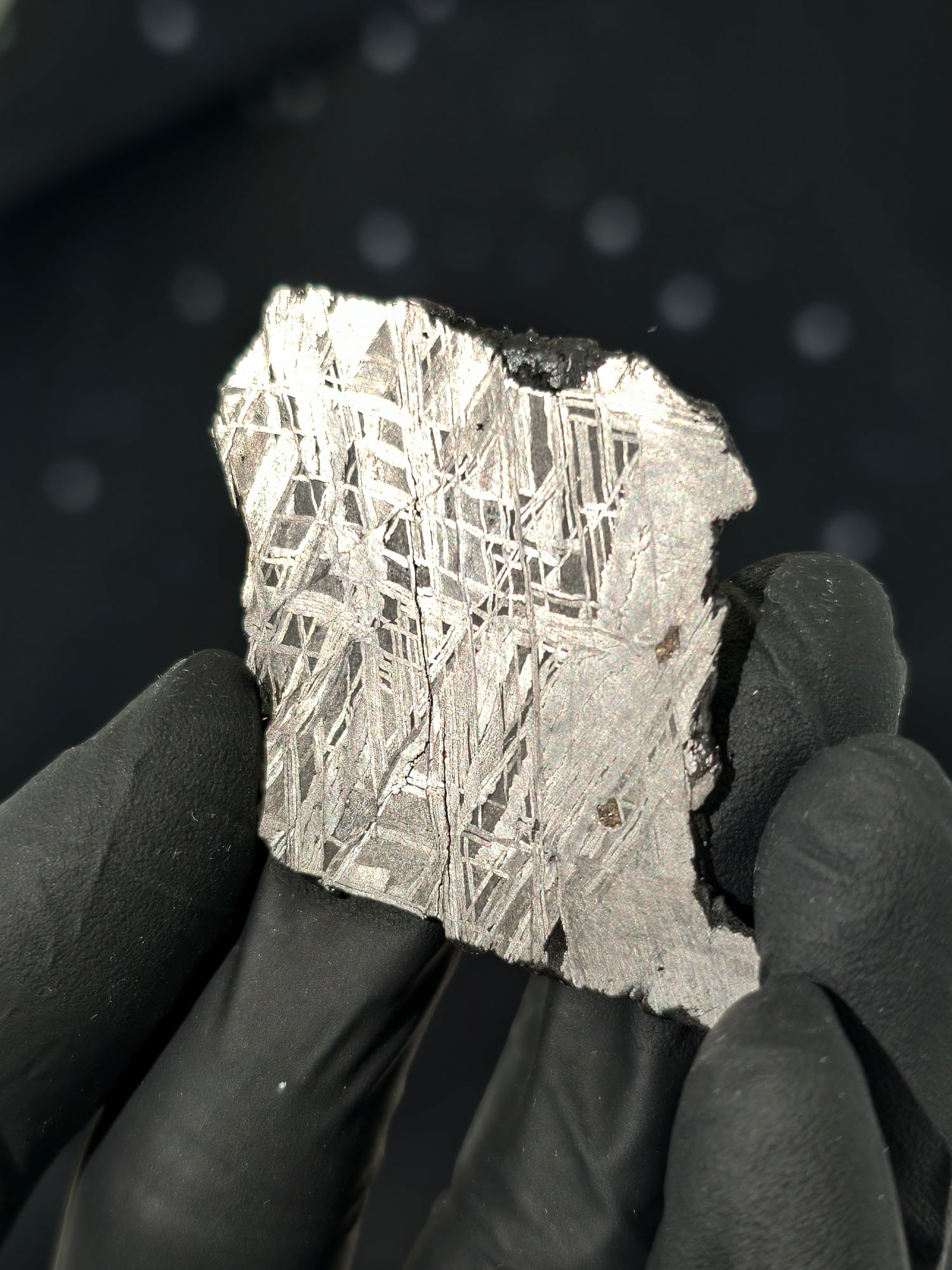Muonionalusta Meteorit Scheibe 14,7g mit Zertifikat