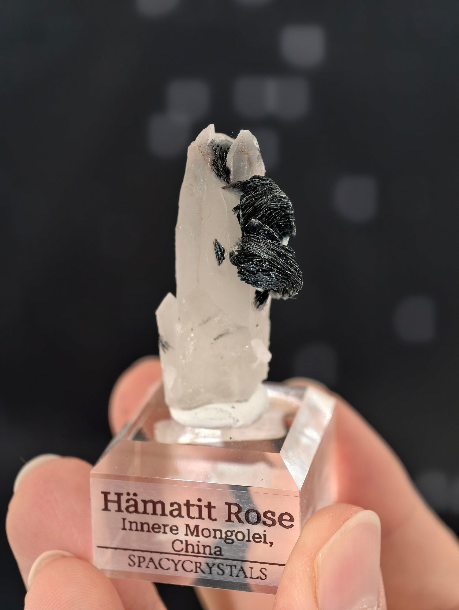 Schwarze Hämatit Rosen, Innere Mongolei, China 🌹