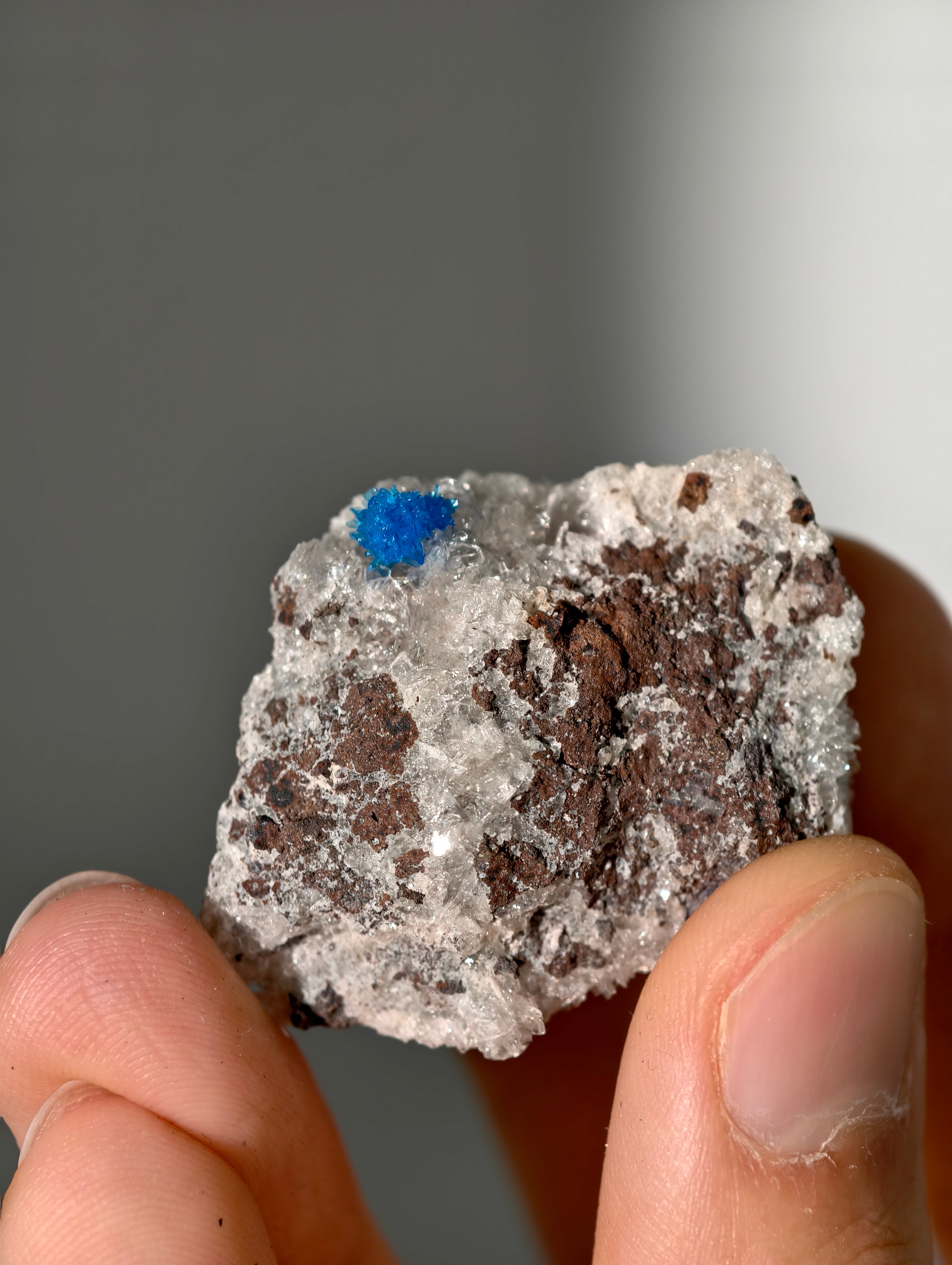 Cavansite aus Indien in Matrix