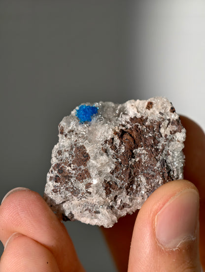 Cavansite aus Indien in Matrix