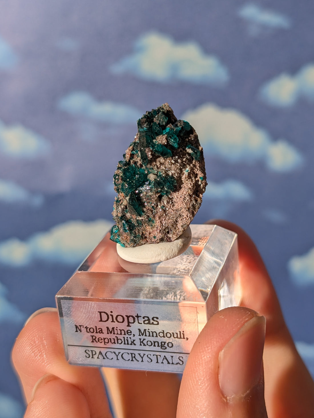 smaragdgrüner Dioptas auf Matrix