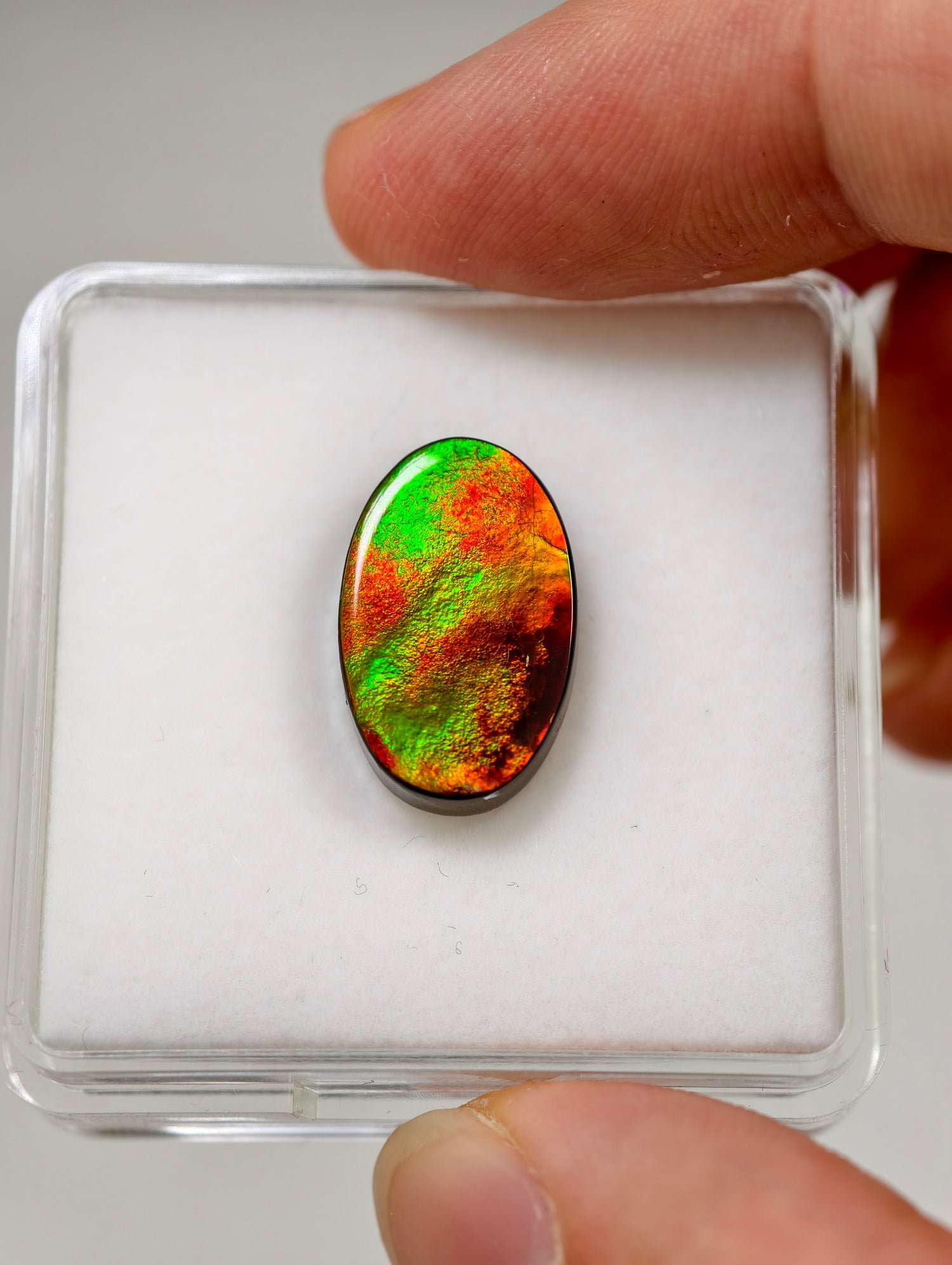 Ammolit Cabochons aus Kanada (TOP QUALITÄT)