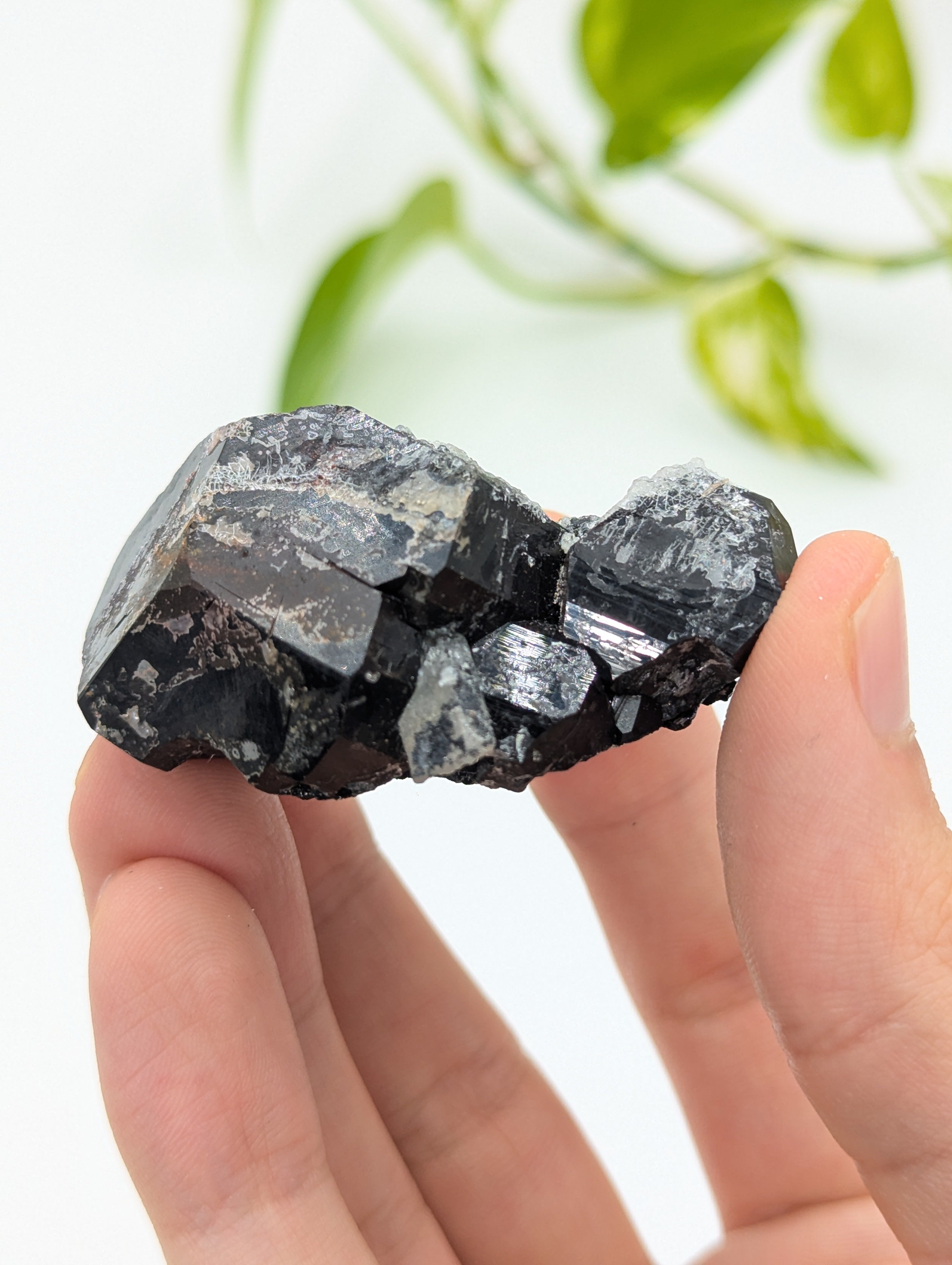 Schwarzer Turmalin (Schörl) aus Erongo IV