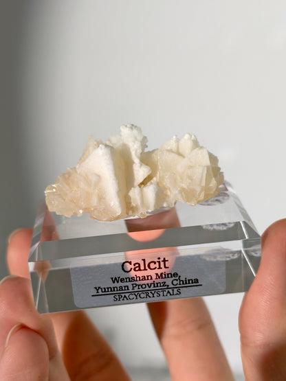 Korallenförmiger Calcit - Wenshan Mine