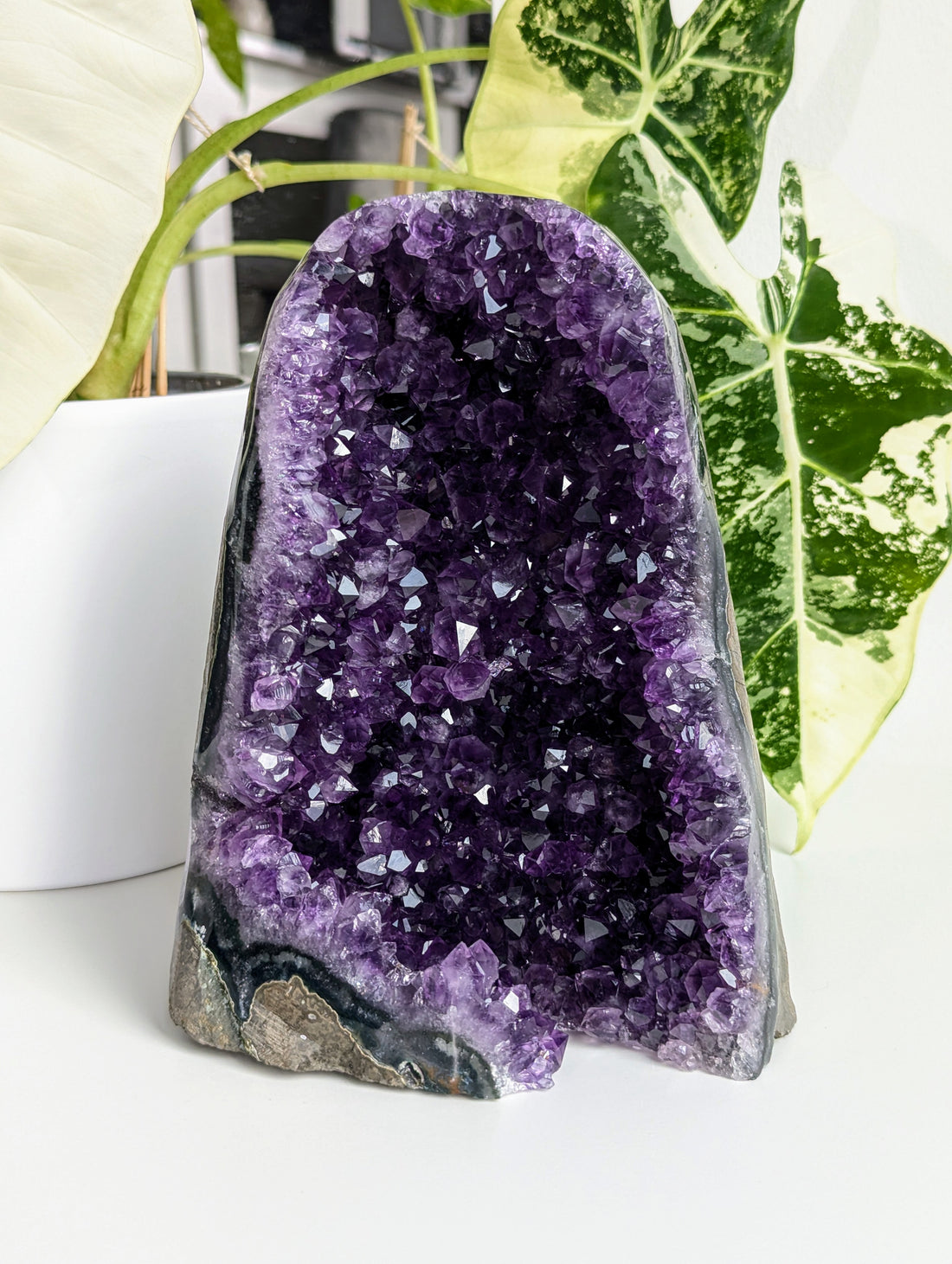 Amethyst Druse AA-Qualität aus Uruguay