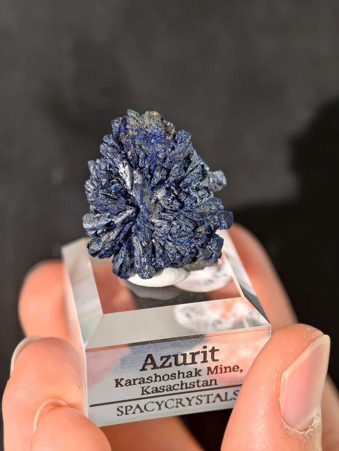 Königsblaue Azurit Kristalle aus Kasachstan