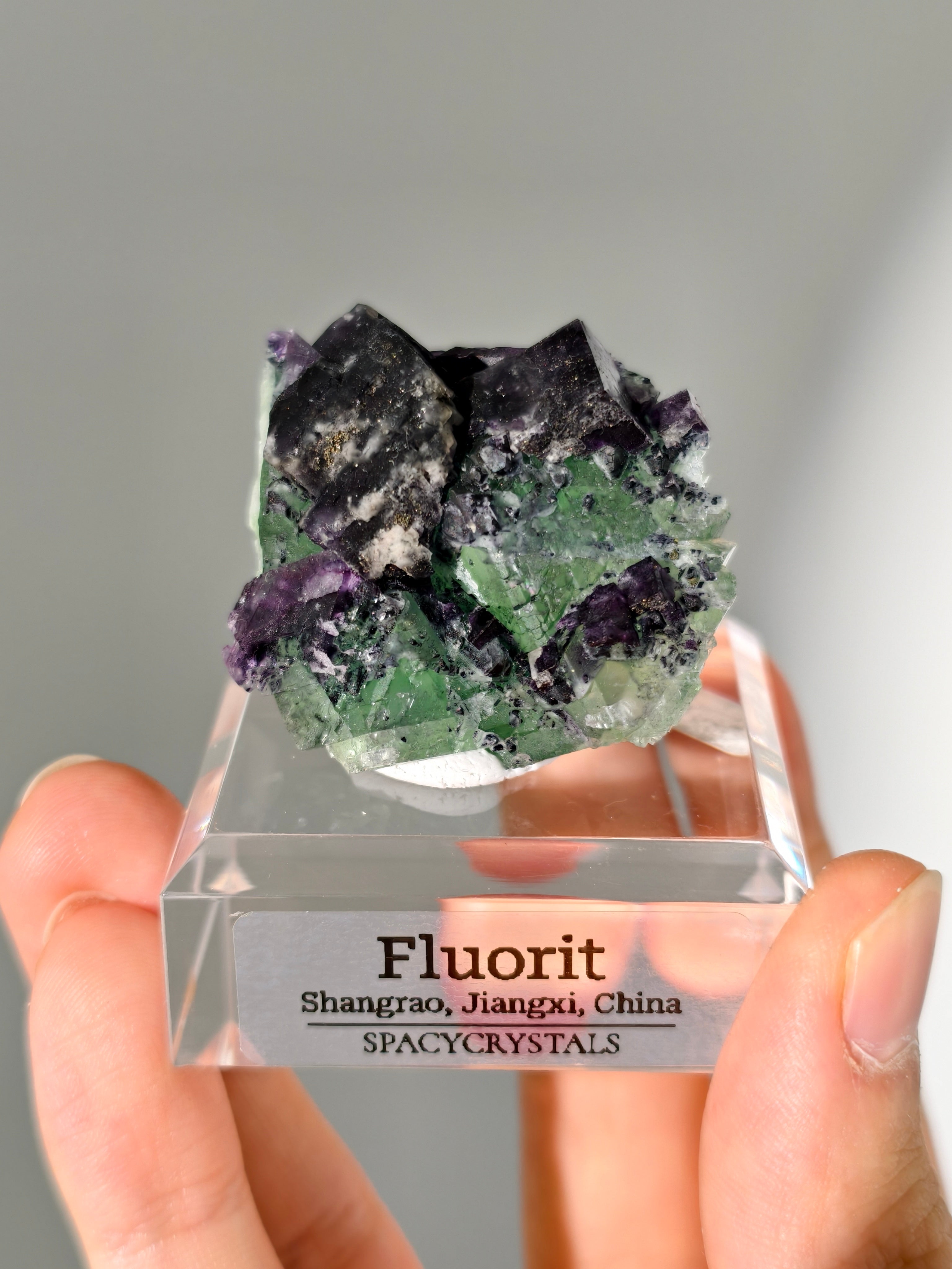 Shangrao Fluorit mit Pyrit: grüner Oktaeder mit lila Würfeln, Neufund!