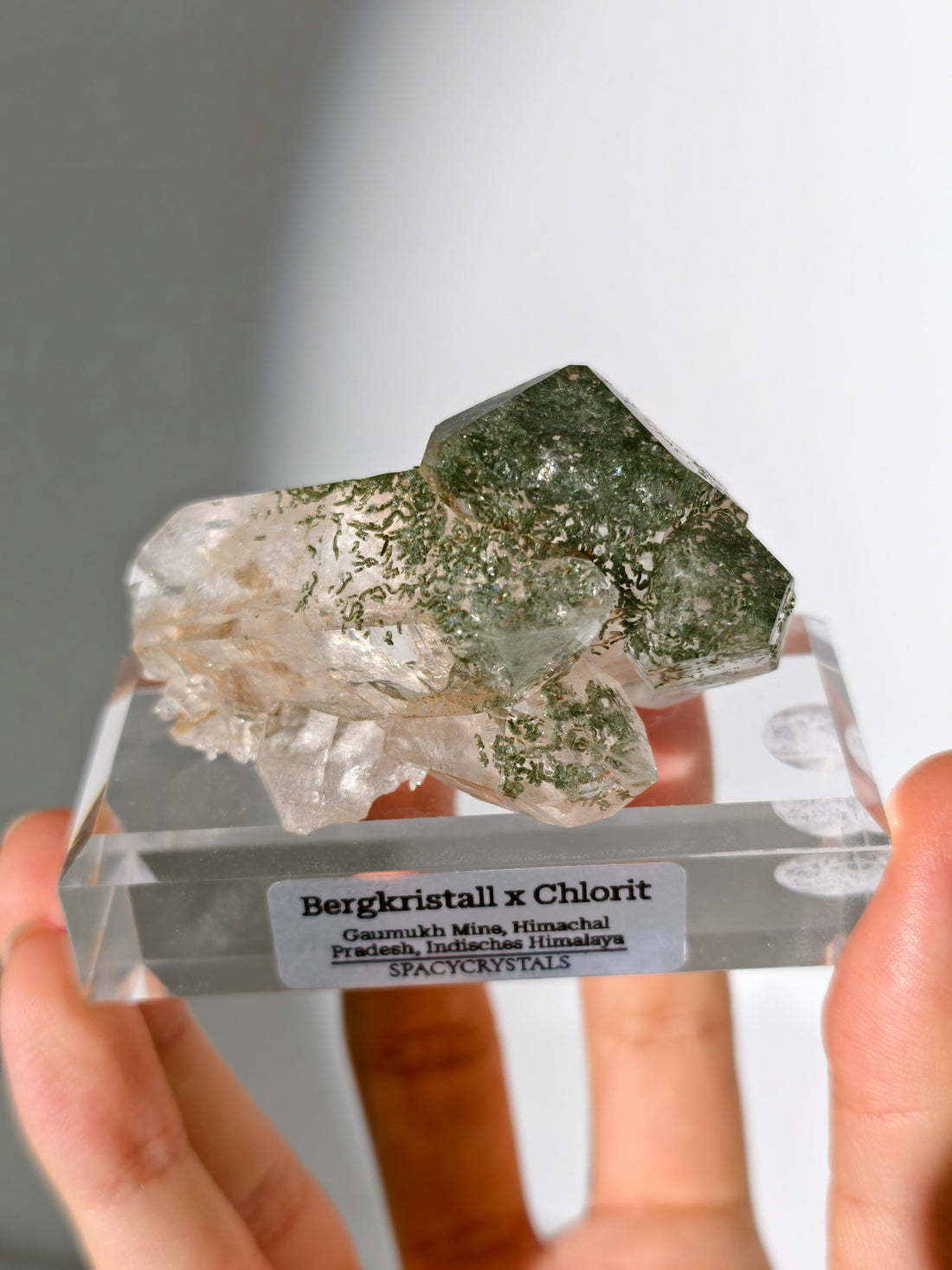 Himalaya Bergkristall Cluster mit Chlorit Einschlüssen