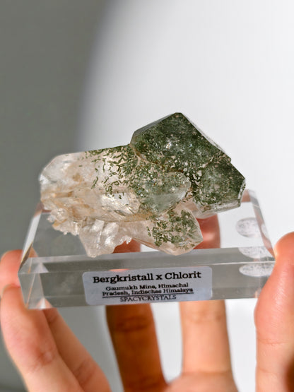 Himalaya Bergkristall Cluster mit Chlorit Einschlüssen
