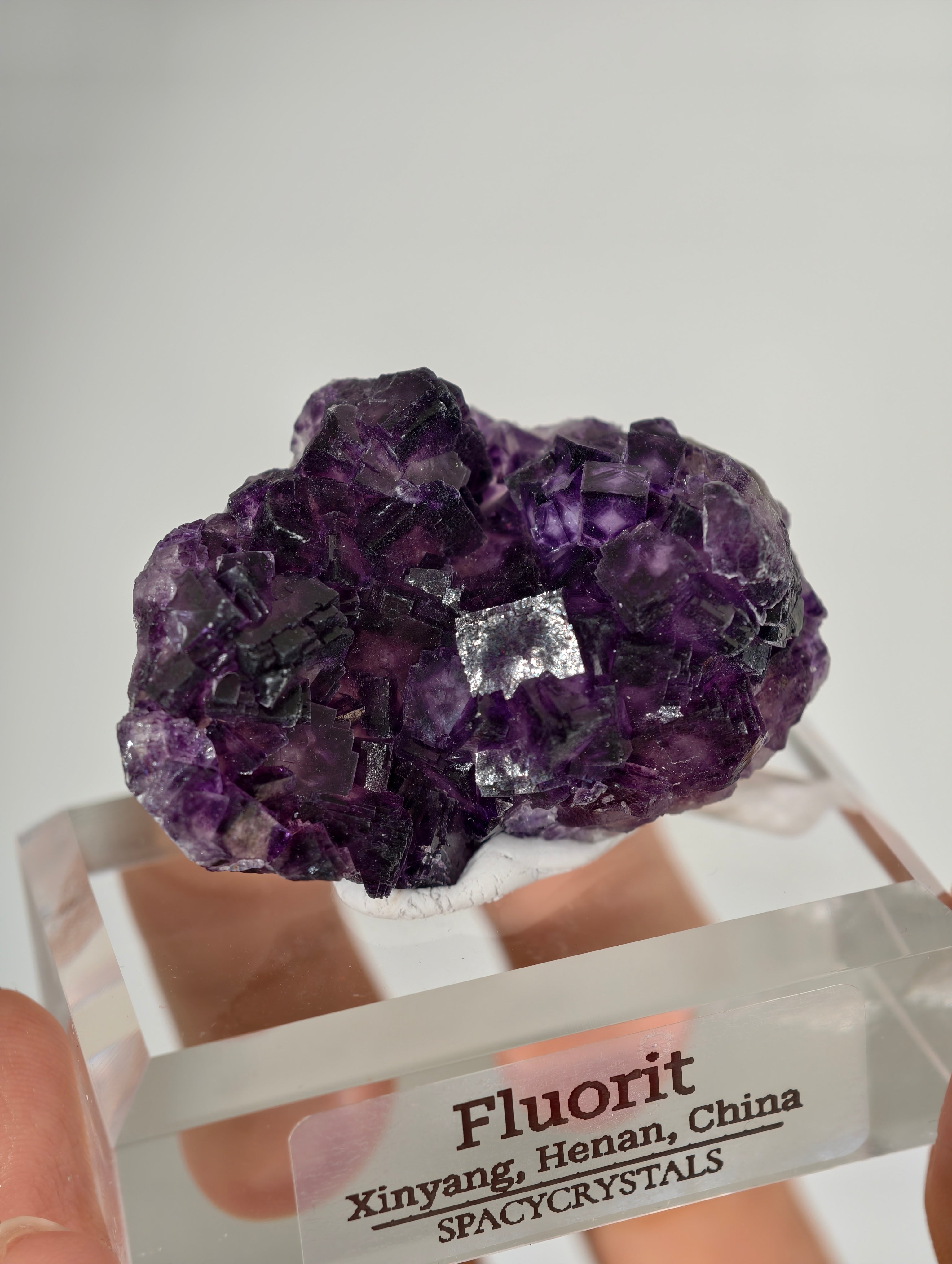 Lila Fluorit Würfel Cluster aus Xinyang