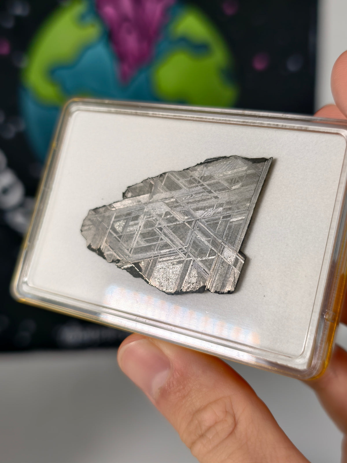 Muonionalusta Meteorit Scheibe 18,86g mit Zertifikat