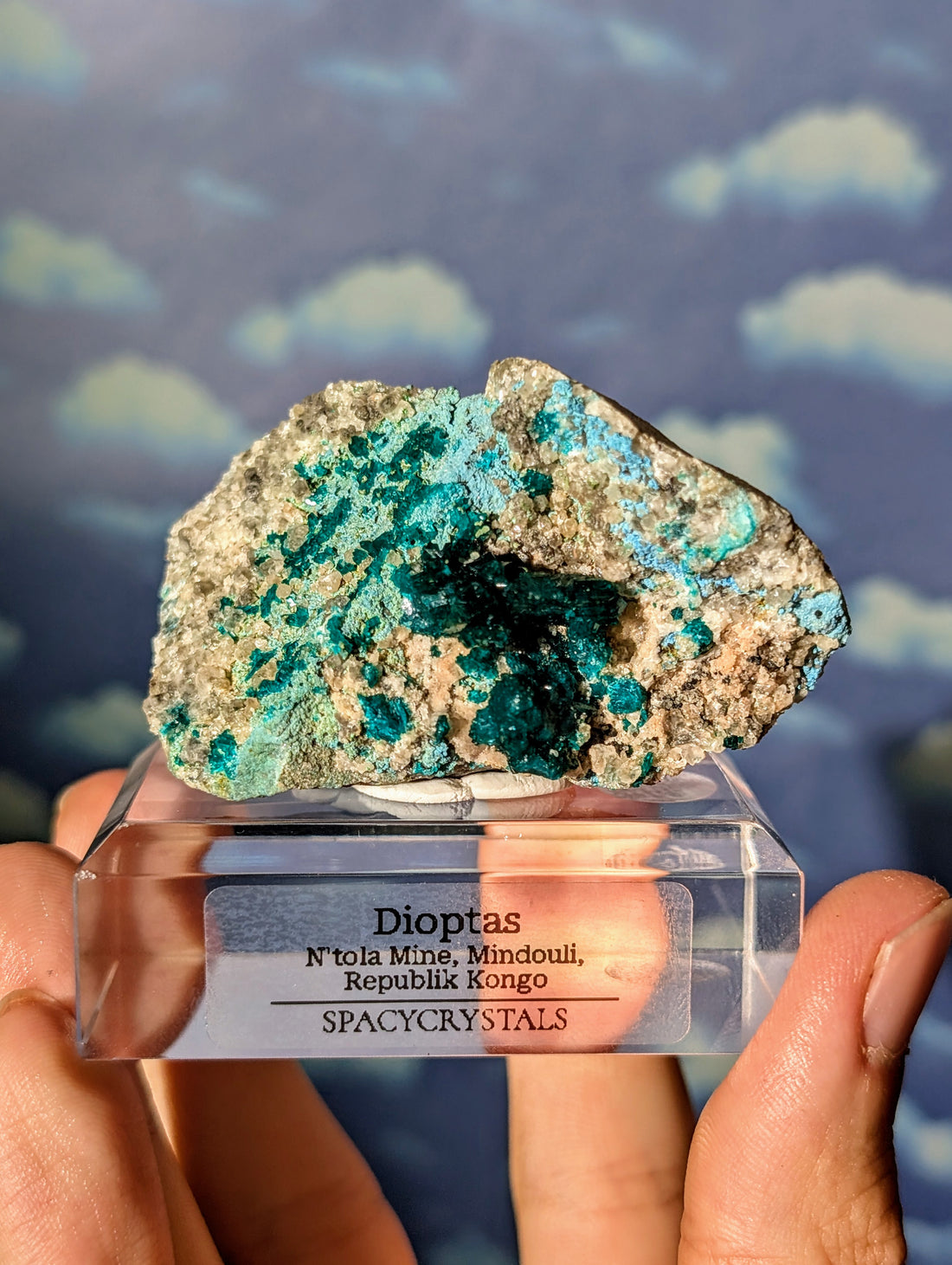 ausgeprägter Dioptas auf Matrix