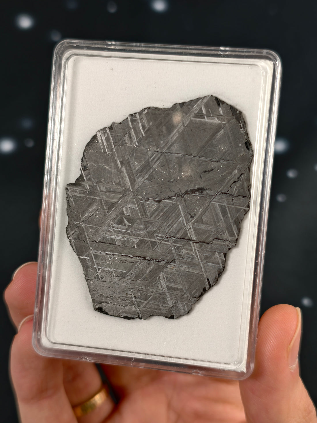 Muonionalusta Meteorit Scheibe 25,7g mit Zertifikat