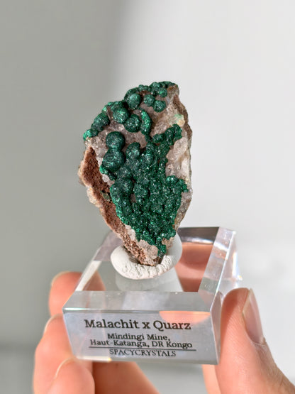 Malachit x Quarz aus der Mindingi Mine, Kongo