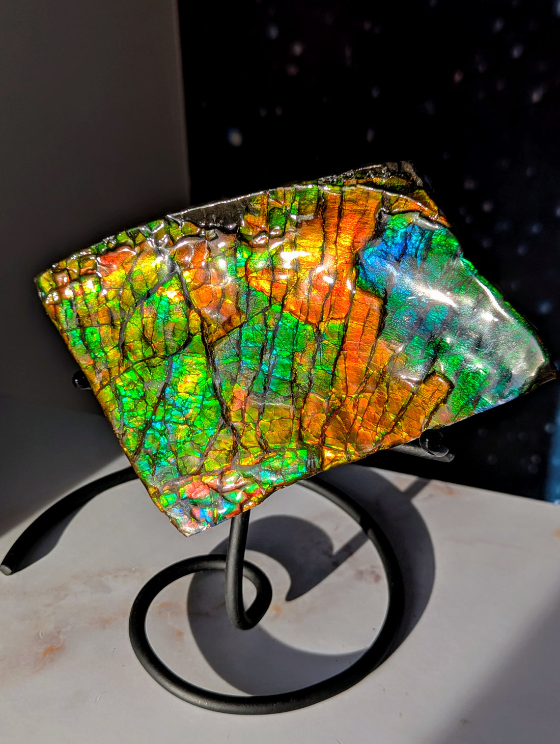 Großer Ammolit auf Ständer mit Farbwechsel aus Kanada