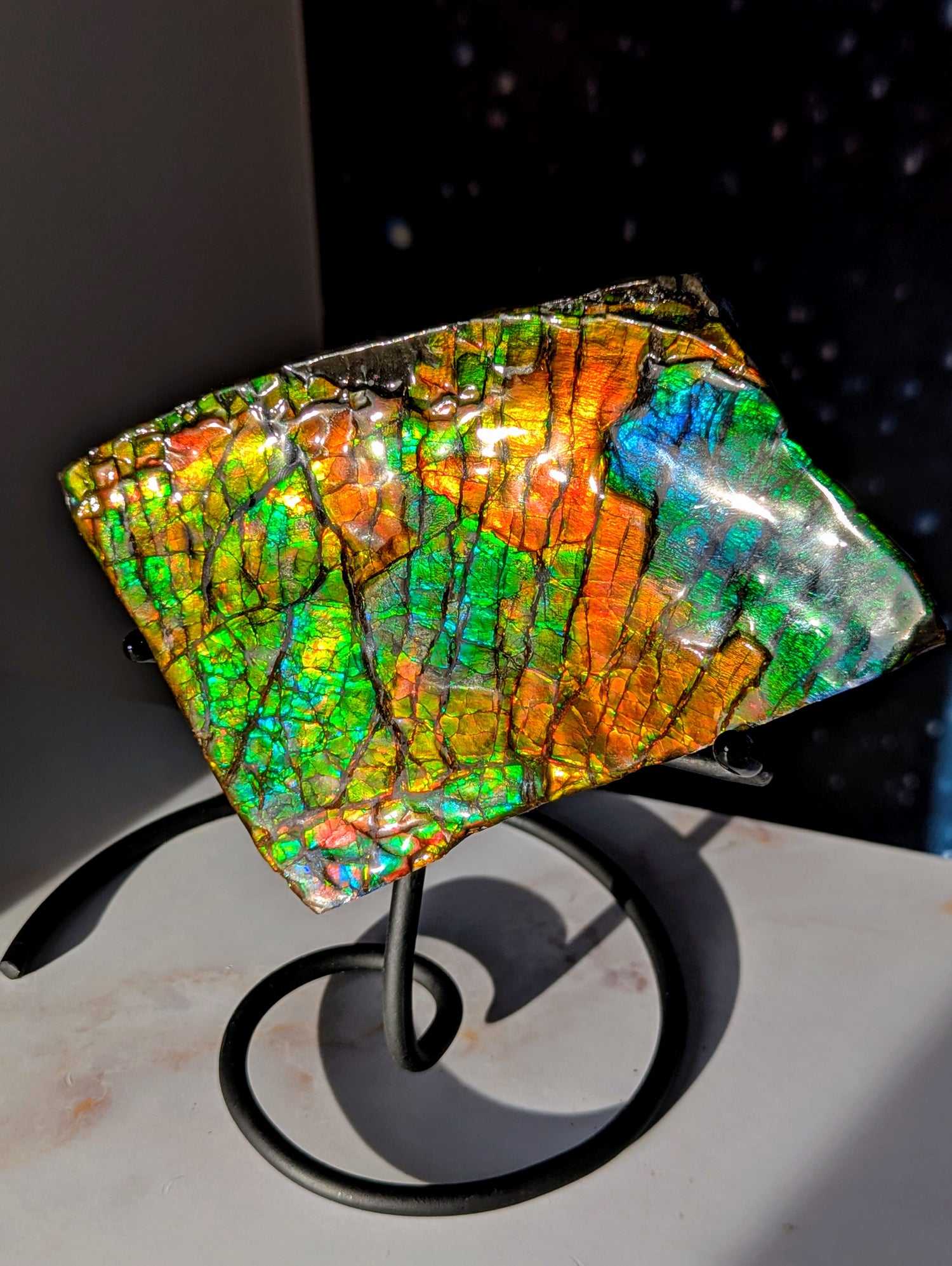 Großer Ammolit auf Ständer mit Farbwechsel aus Kanada
