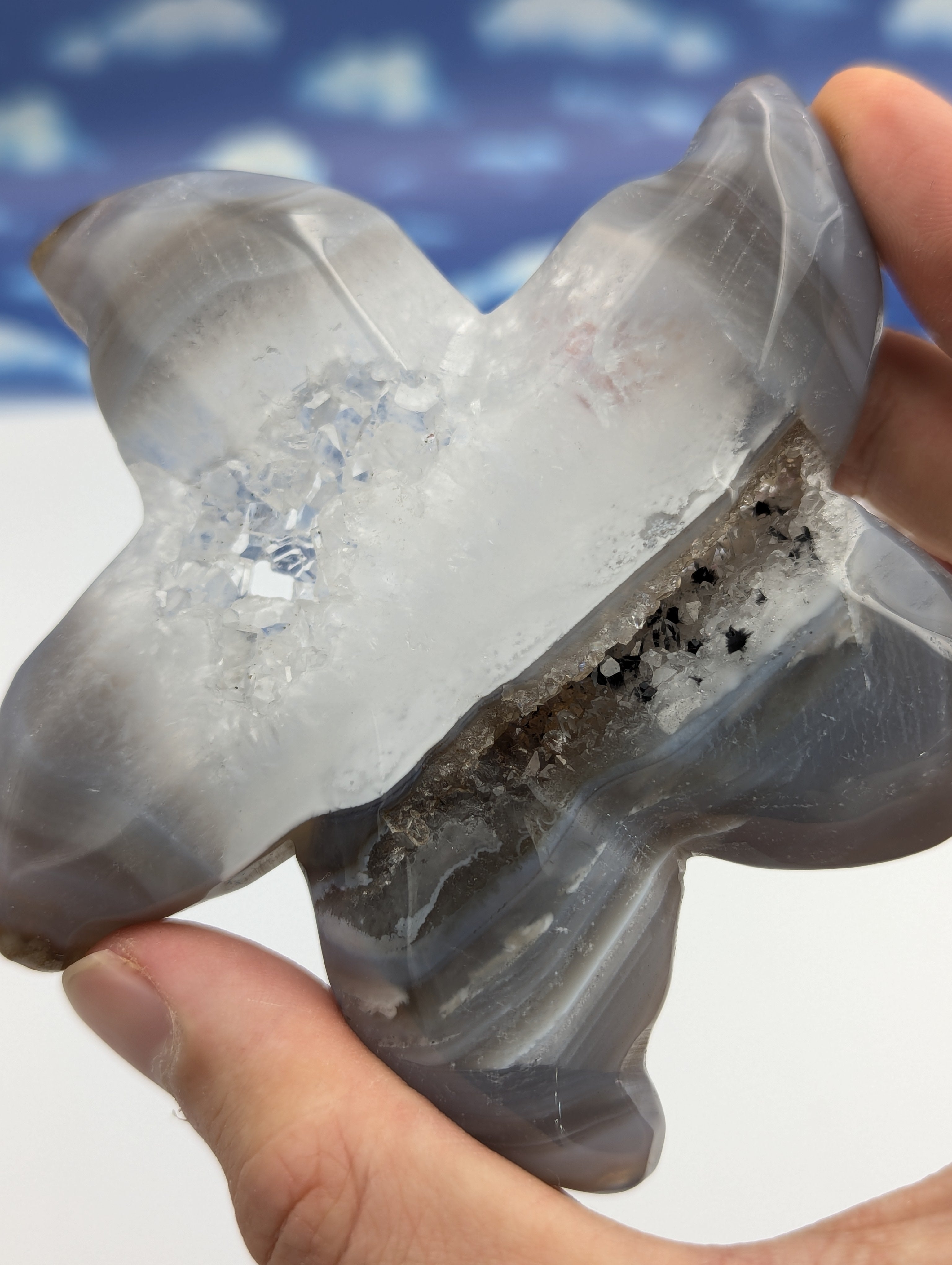 Achat Seestern mit doppelter Druse