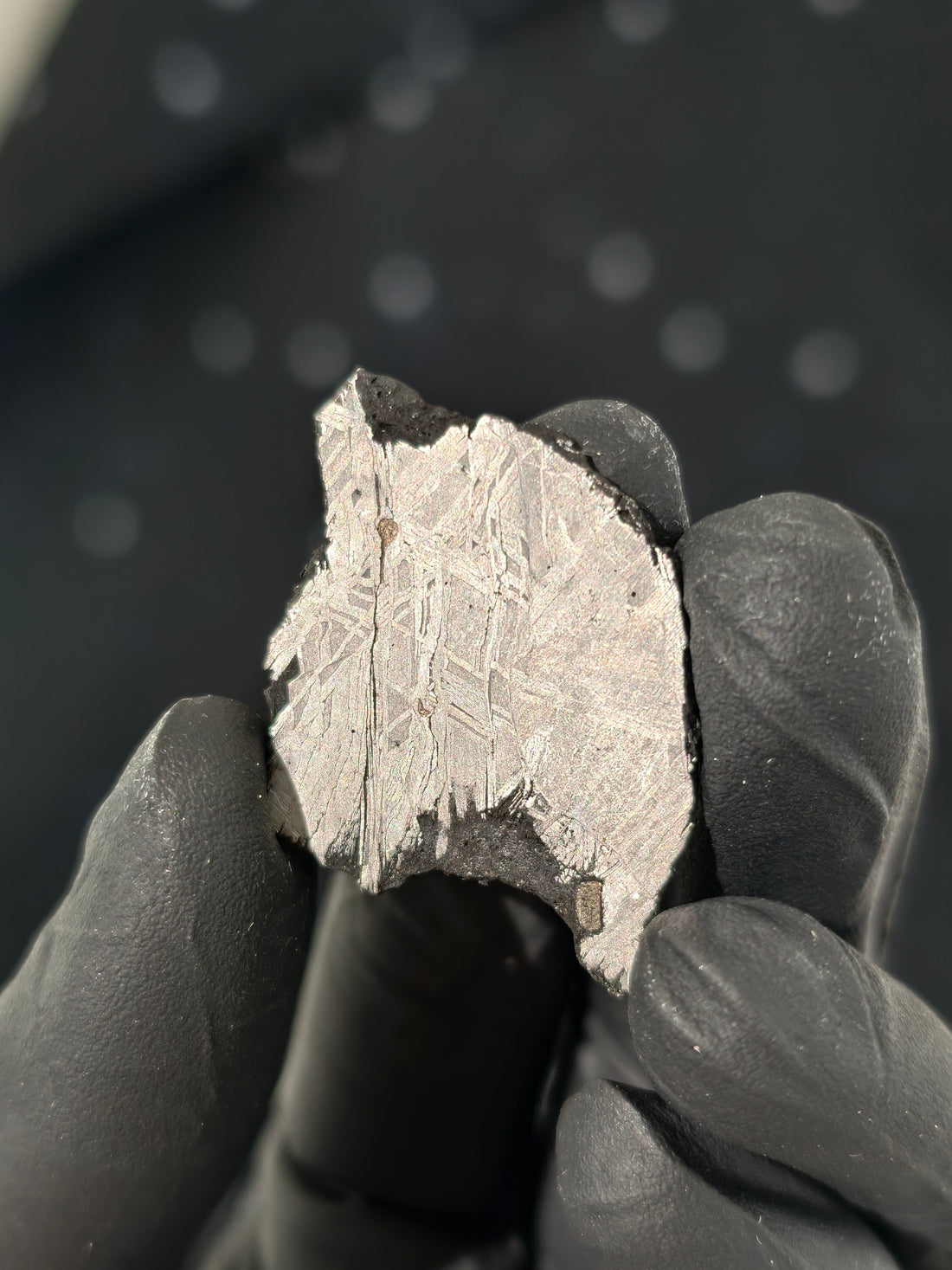 Muonionalusta Meteorit Scheibe 6,6g mit Zertifikat