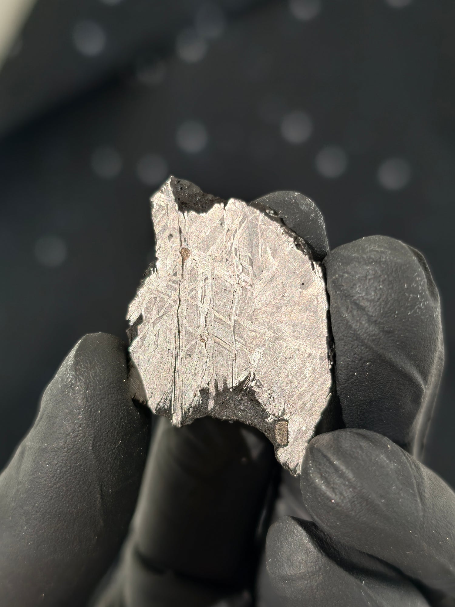 Muonionalusta Meteorit Scheibe 6,6g mit Zertifikat
